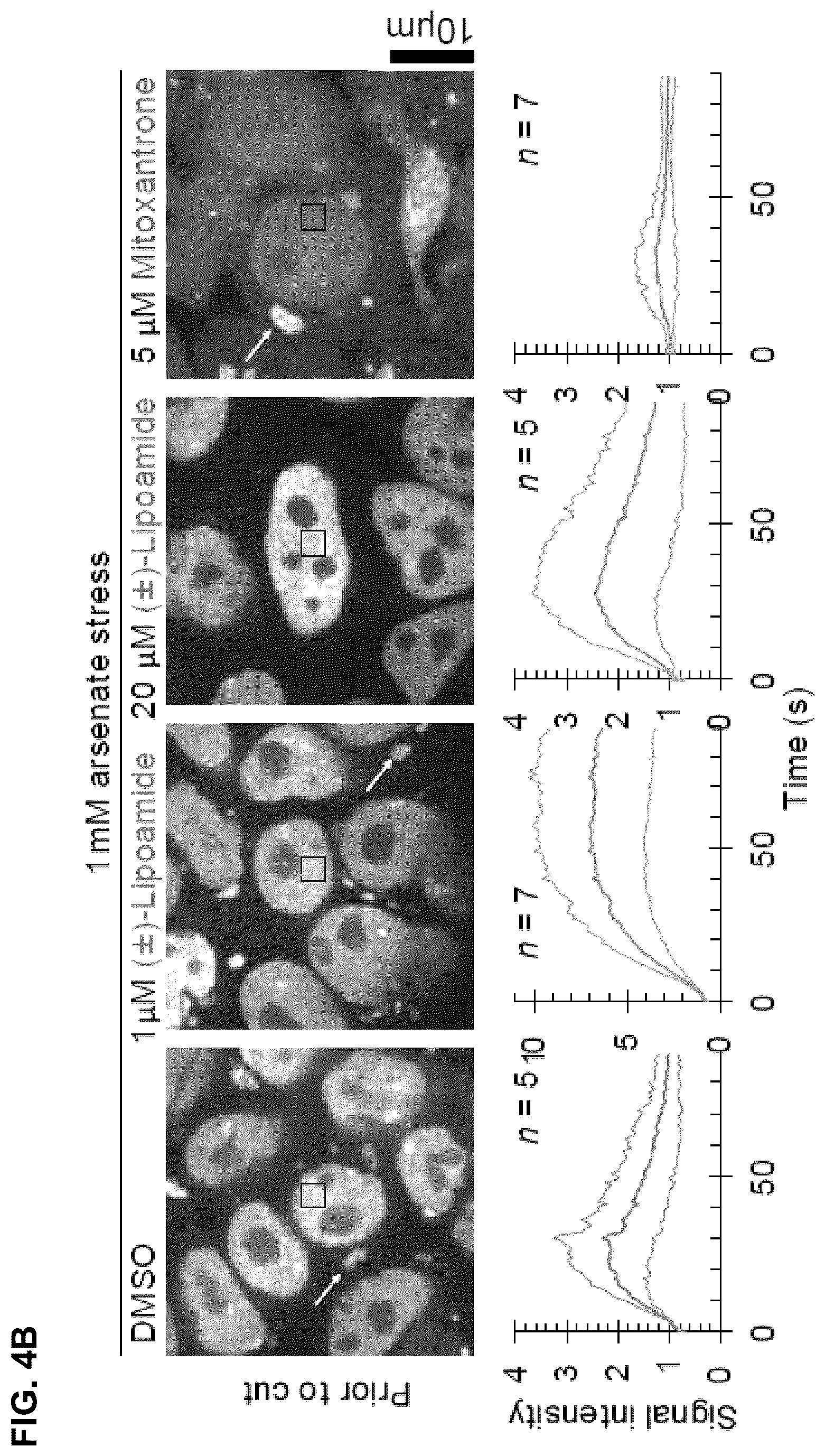 Patent US12422427 Figure 14 – Compounds for treatment of diseases and methods of screening therefor