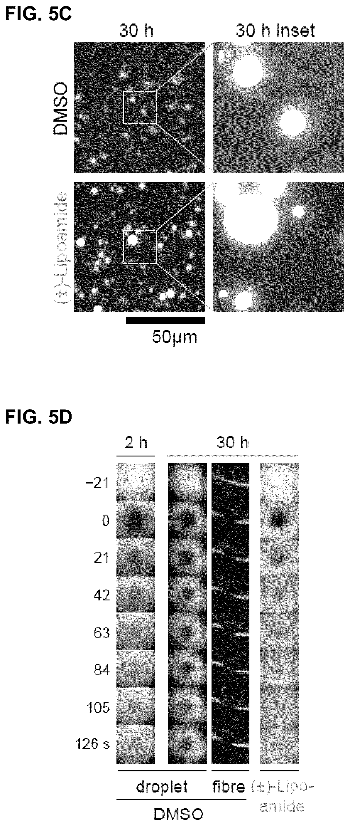 Patent US12422427 Figure 16 – Compounds for treatment of diseases and methods of screening therefor