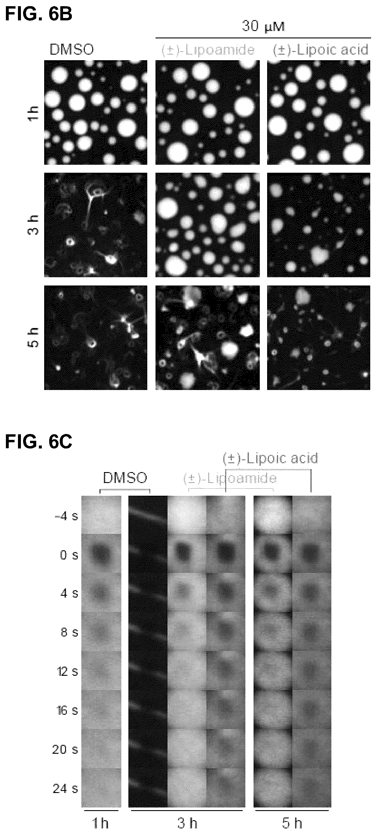 Patent US12422427 Figure 19 – Compounds for treatment of diseases and methods of screening therefor
