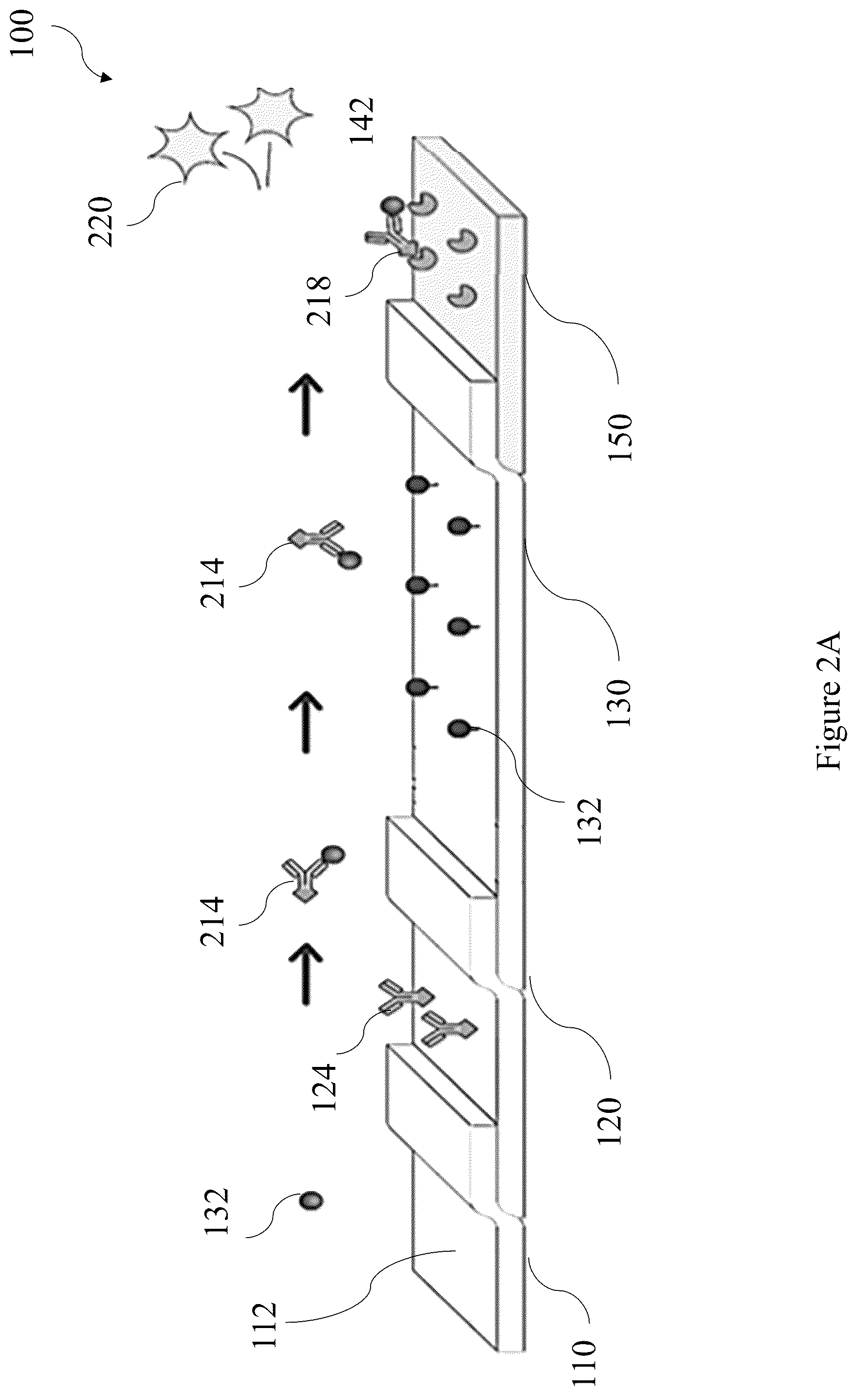 Patent US12422431 Figure 2 – Capture flow assay device and methods