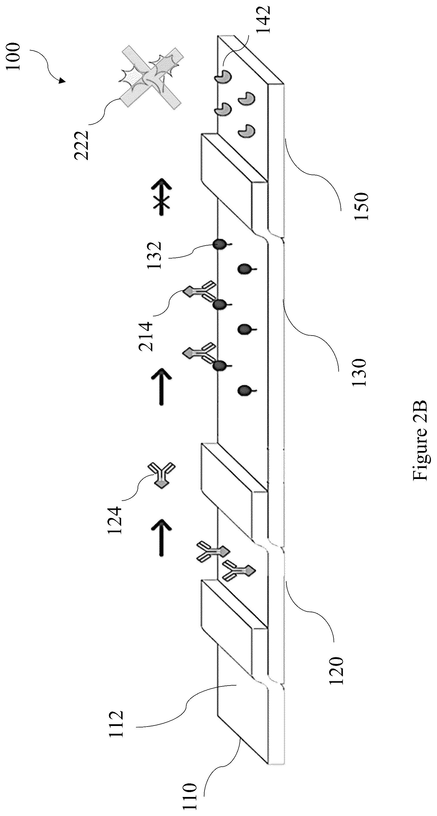 Patent US12422431 Figure 3 – Capture flow assay device and methods
