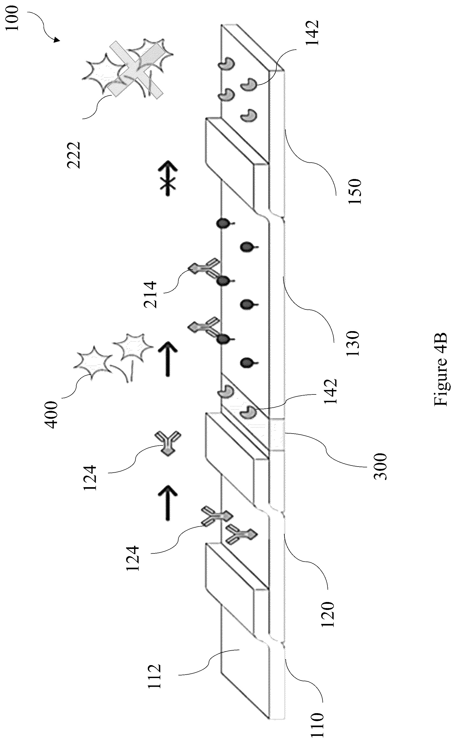 Patent US12422431 Figure 6 – Capture flow assay device and methods