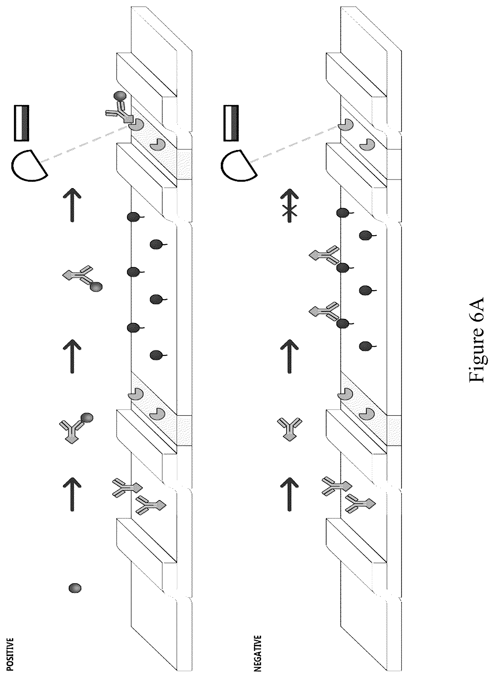 Patent US12422431 Figure 8 – Capture flow assay device and methods