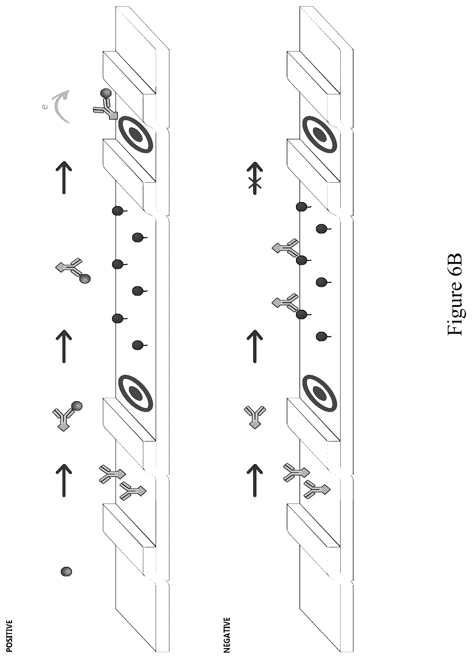 Patent US12422431 Figure 9 – Capture flow assay device and methods