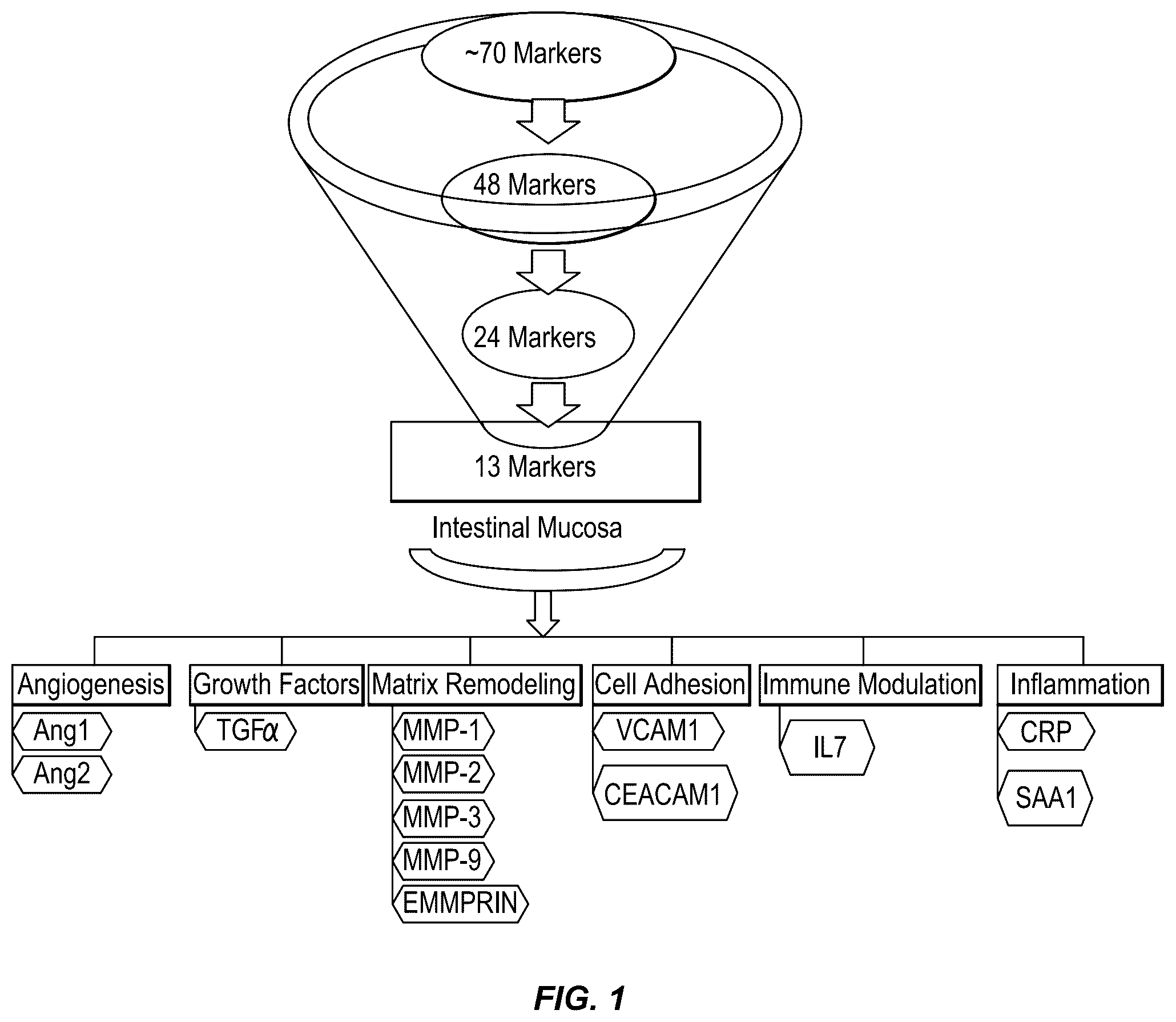 Patent US12422432 — Methods for assessing mucosal healing in inflammatory bowel disease patients — Figure 1