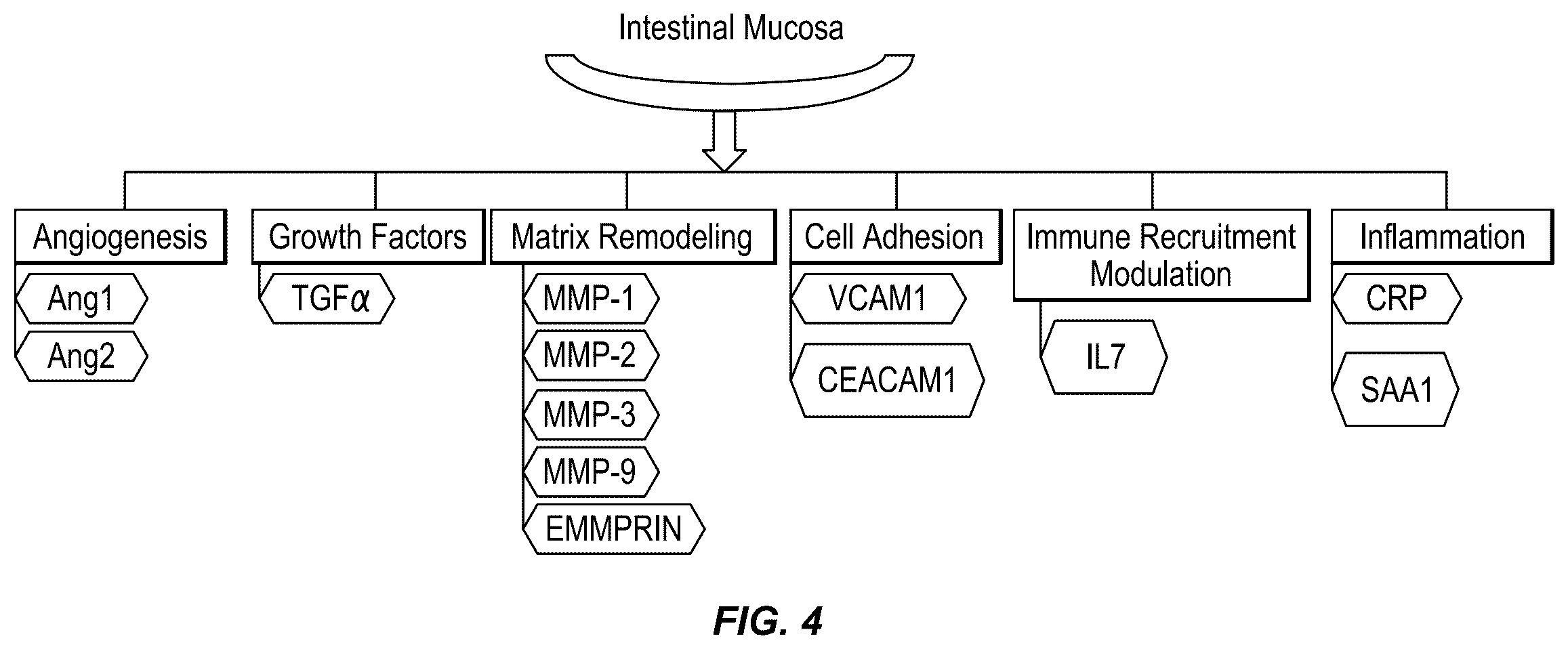 Patent US12422432 Figure 9 – Methods for assessing mucosal healing in inflammatory bowel disease patients