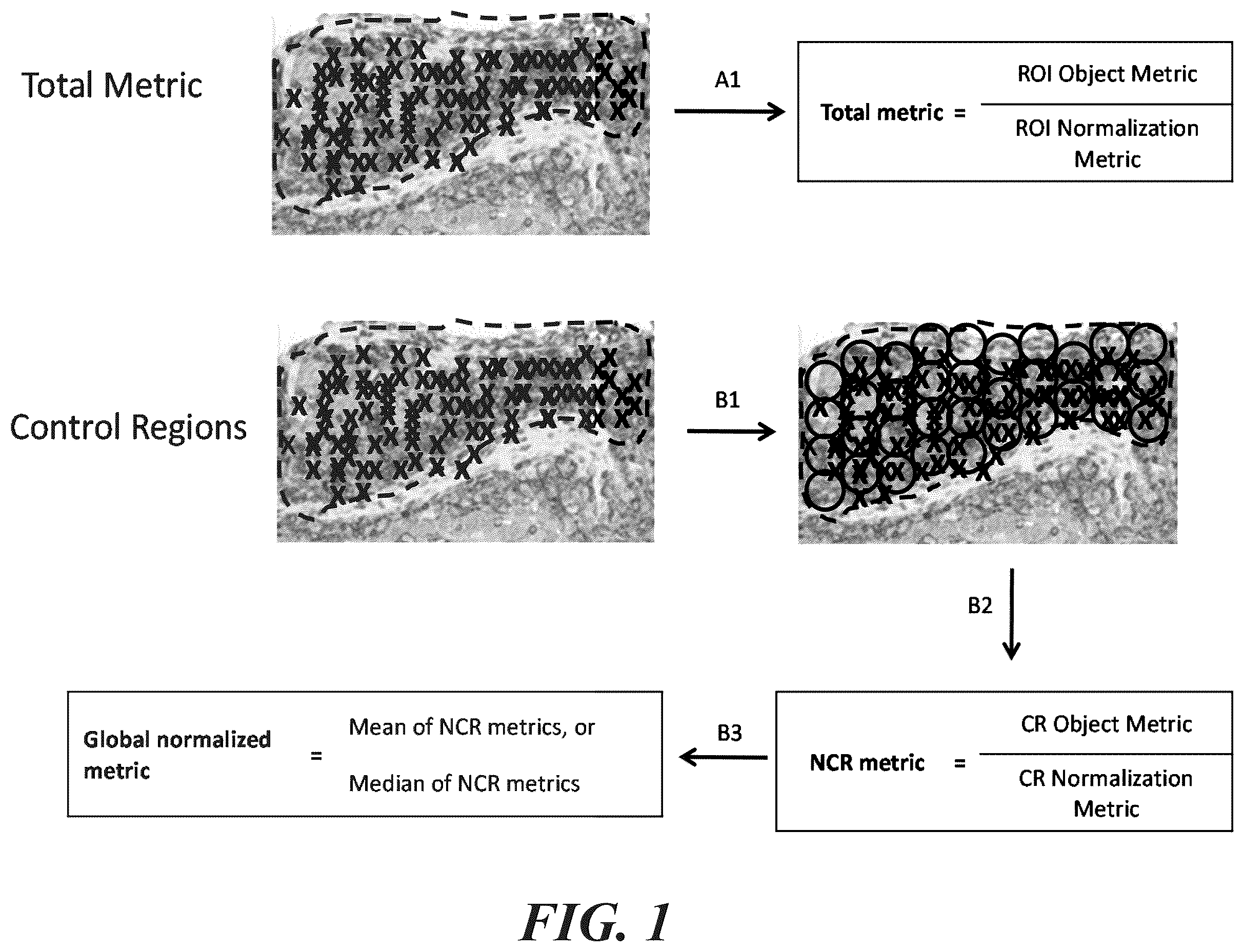 Patent US12422435 — Methods and systems for evaluation of immune cell infiltrate in stage III colorectal cancer — Figure 1