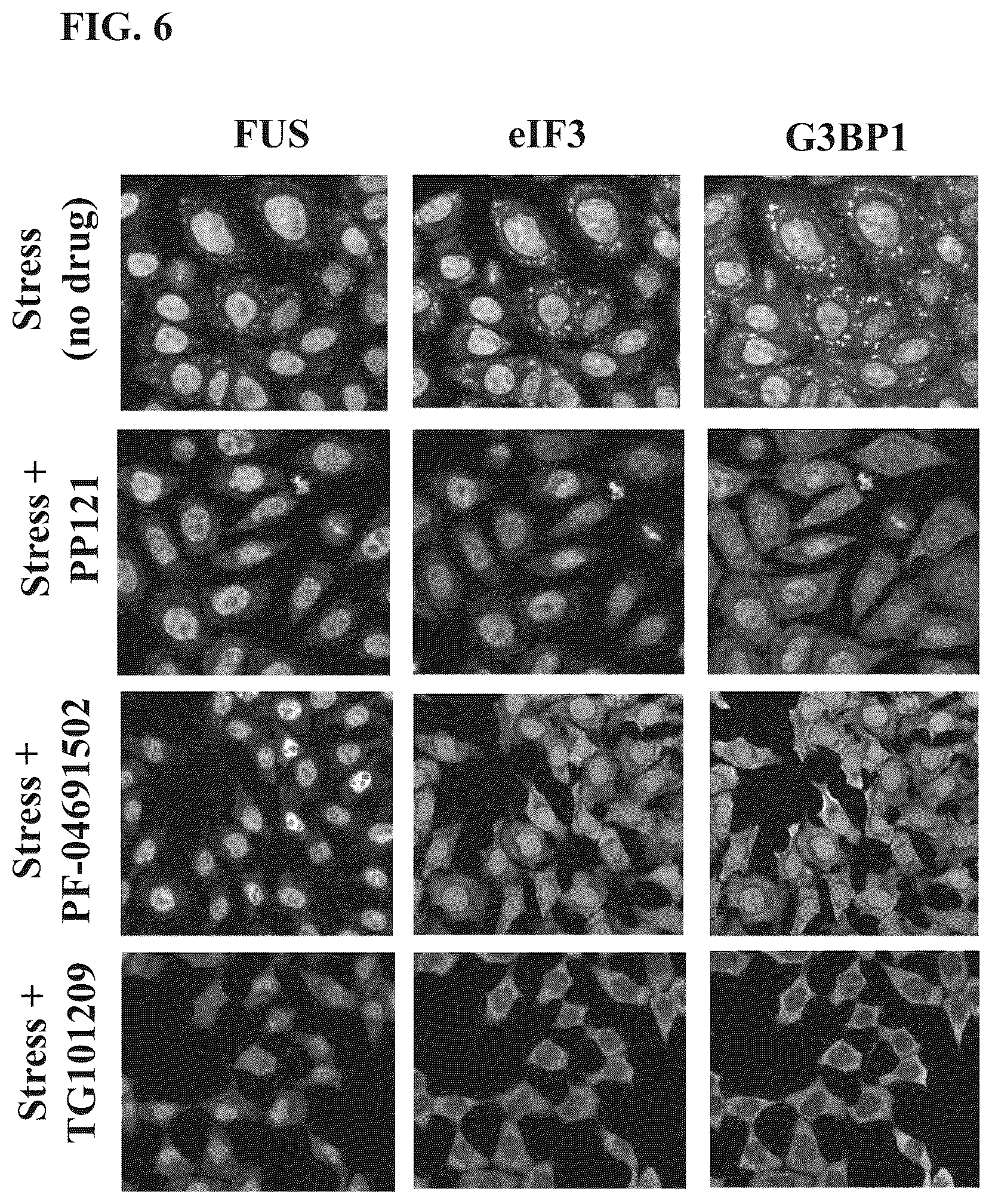 Patent US12422437 Figure 6 – Methods of screening for condensate-associated specificity and uses thereof