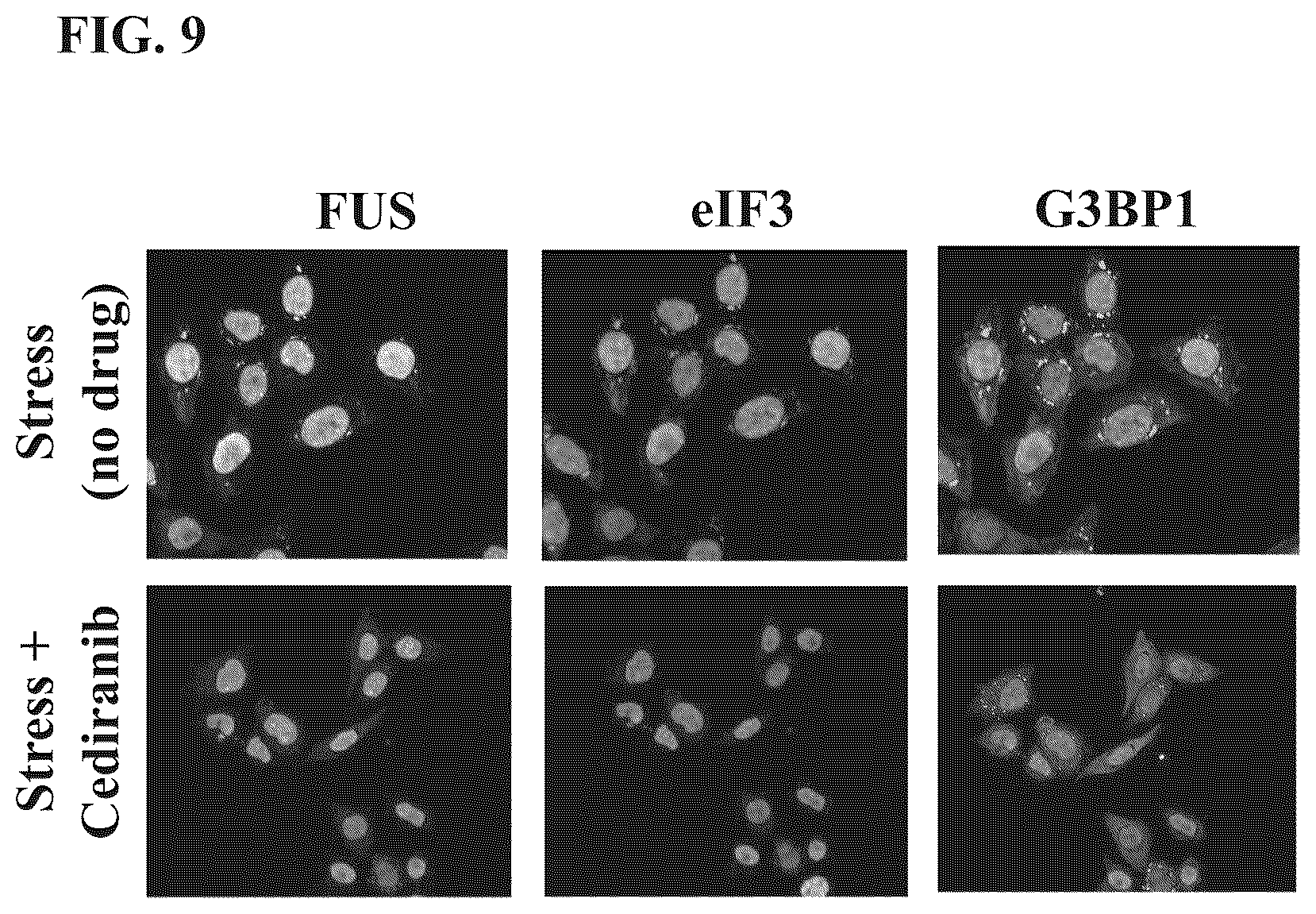 Patent US12422437 Figure 9 – Methods of screening for condensate-associated specificity and uses thereof
