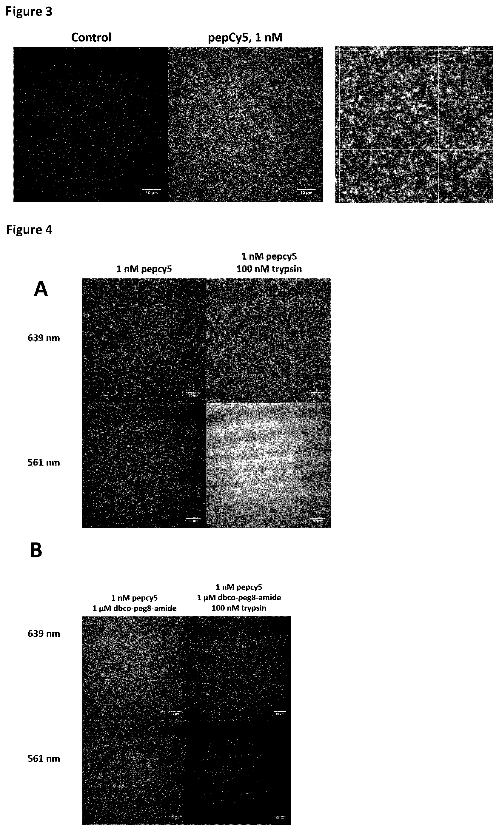 Patent US12422438 Figure 3 – Means and methods for single molecule peptide sequencing