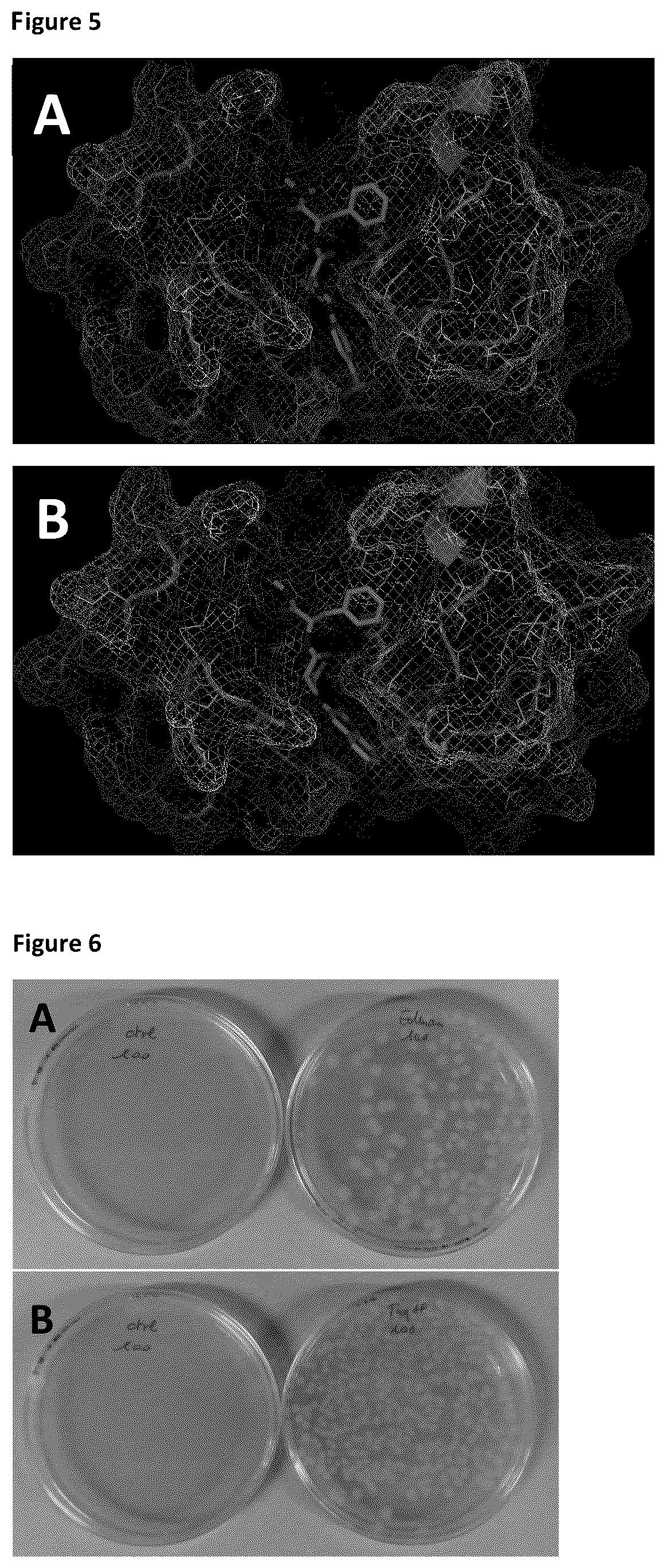 Patent US12422438 Figure 4 – Means and methods for single molecule peptide sequencing