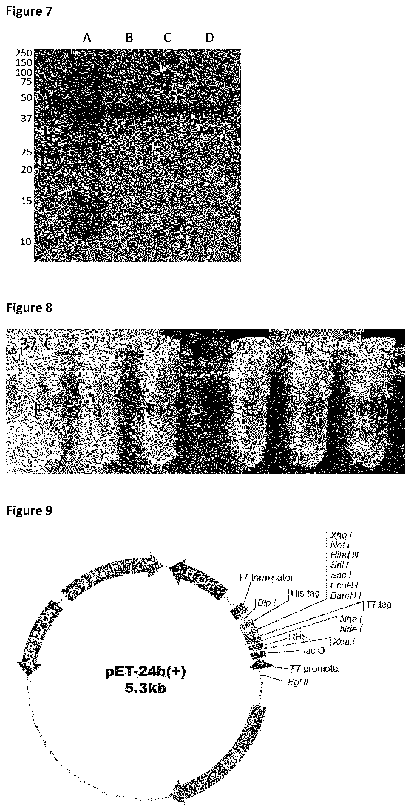 Patent US12422438 Figure 5 – Means and methods for single molecule peptide sequencing