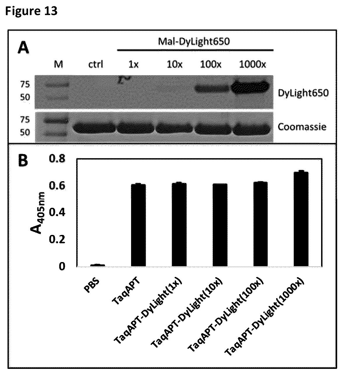 Patent US12422438 Figure 8 – Means and methods for single molecule peptide sequencing