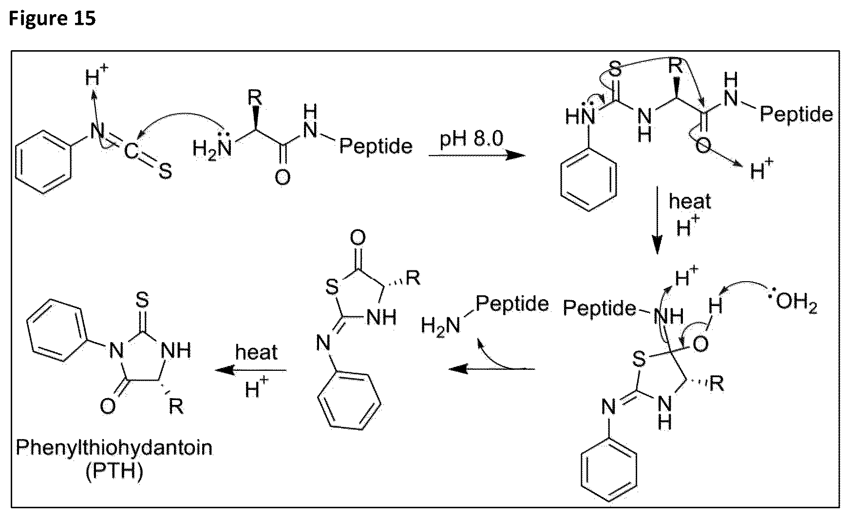 Patent US12422438 Figure 10 – Means and methods for single molecule peptide sequencing