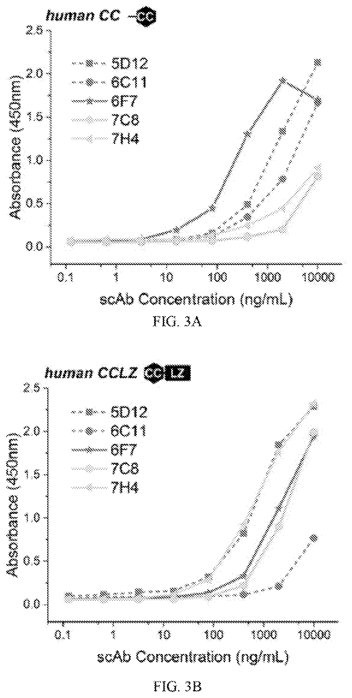 Patent US12422441 Figure 4 – Antibodies that bind to natively folded myocilin