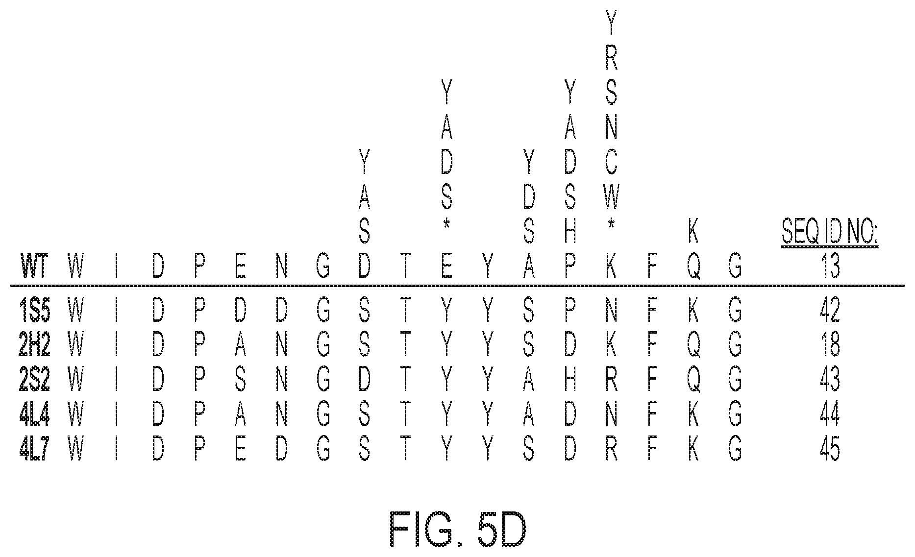 Patent US12422441 Figure 10 – Antibodies that bind to natively folded myocilin