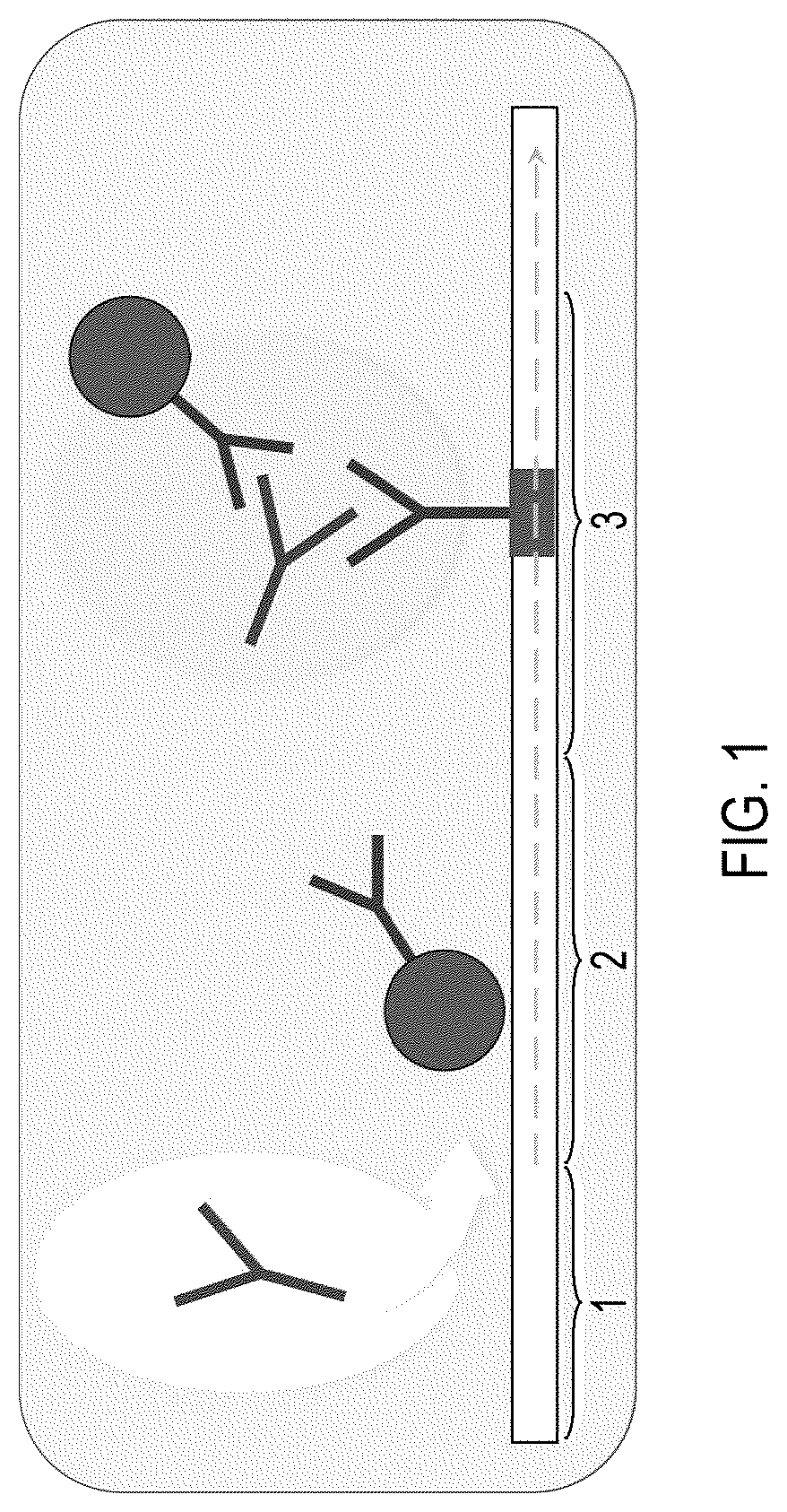 Patent US12422444 Figure 1 – Lateral flow immunoassays for the detection of antibodies against biological drugs