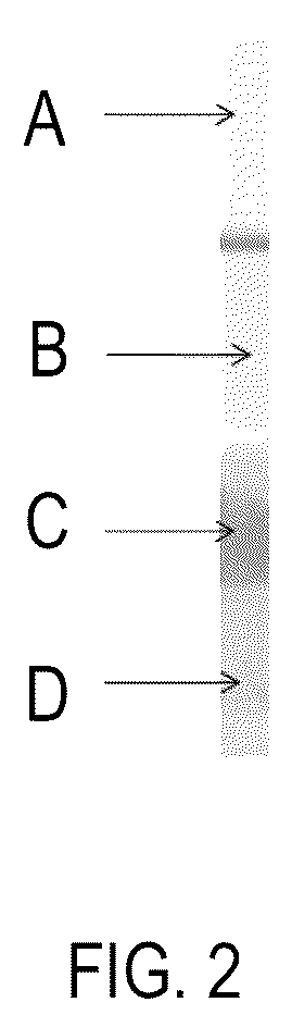 Patent US12422444 Figure 2 – Lateral flow immunoassays for the detection of antibodies against biological drugs
