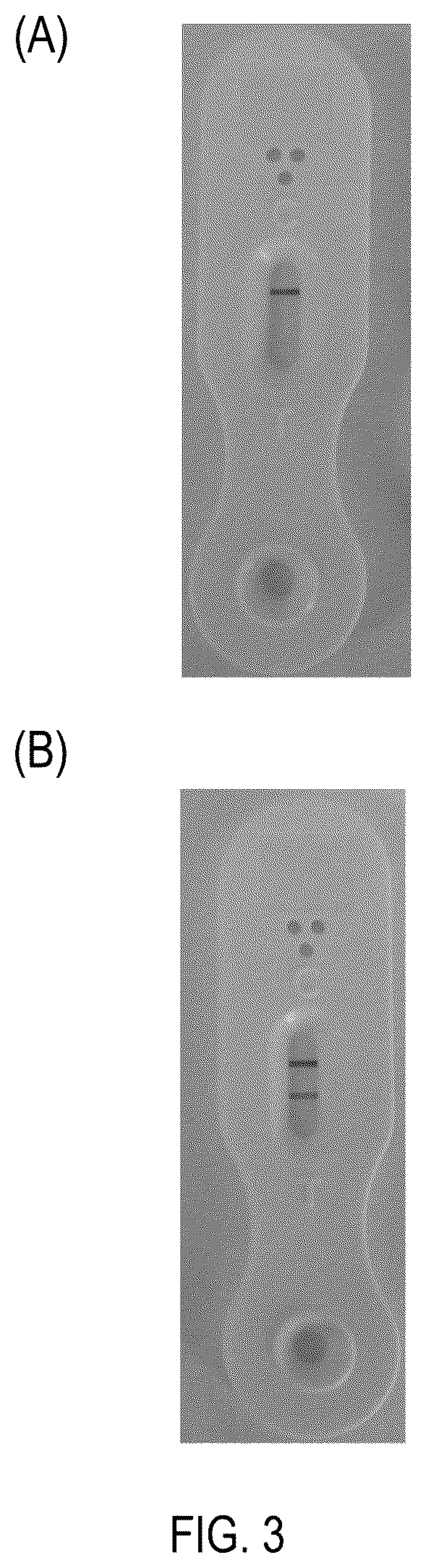 Patent US12422444 Figure 3 – Lateral flow immunoassays for the detection of antibodies against biological drugs