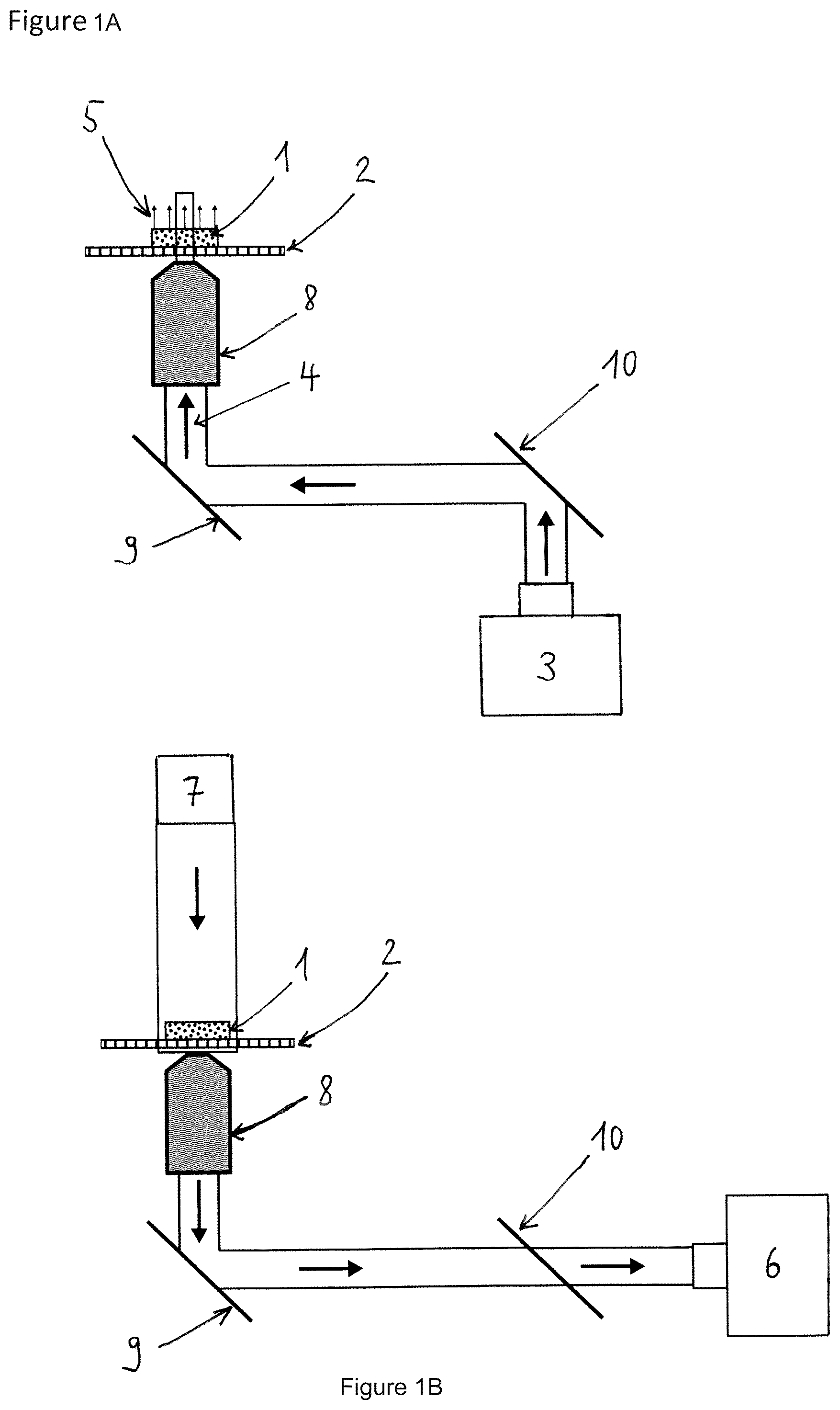 Patent US12422657 Figure 1 – Apparatus and method for detecting a spatial elongation of at least one adherent biological cell