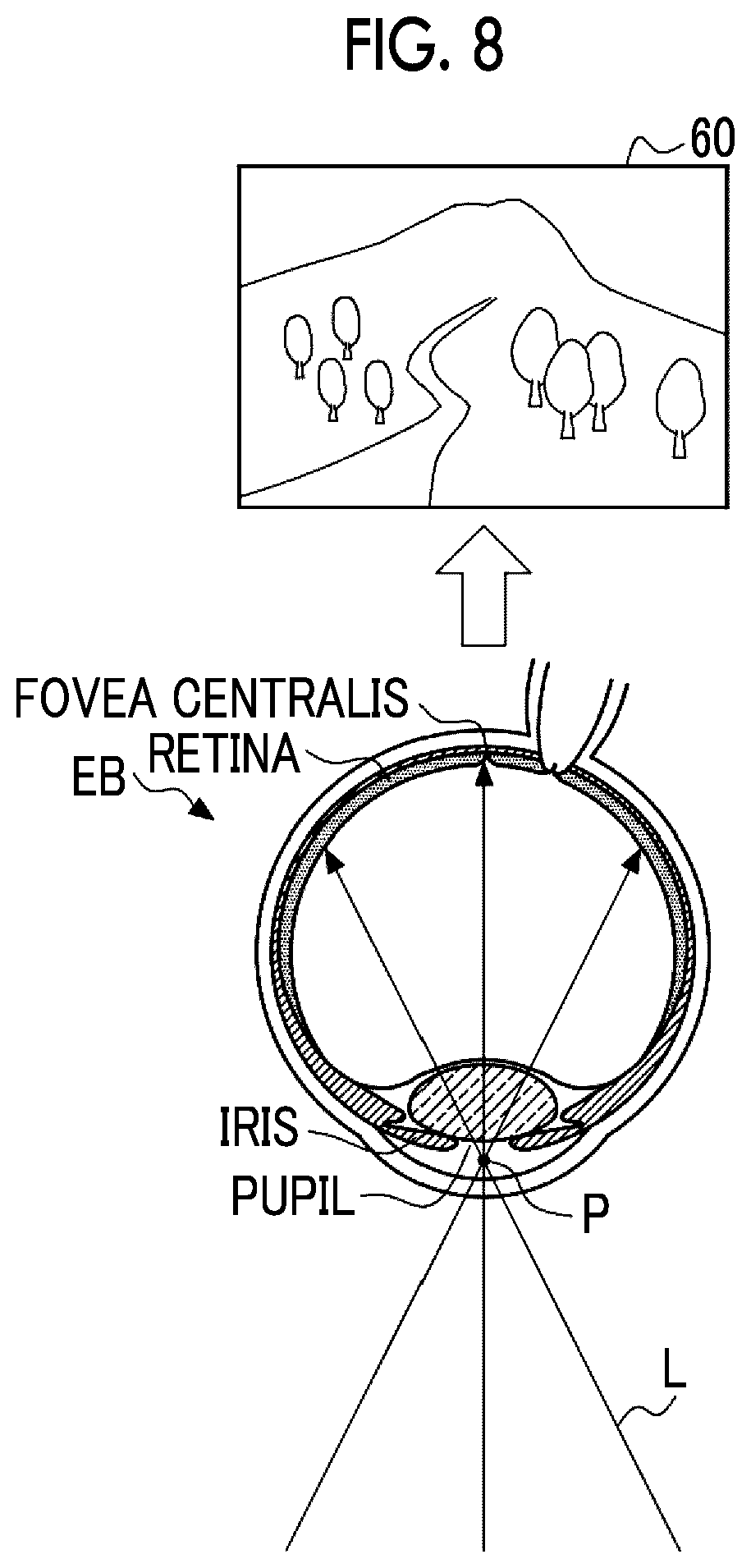 Patent US12422668 Figure 8 – Light scanning device