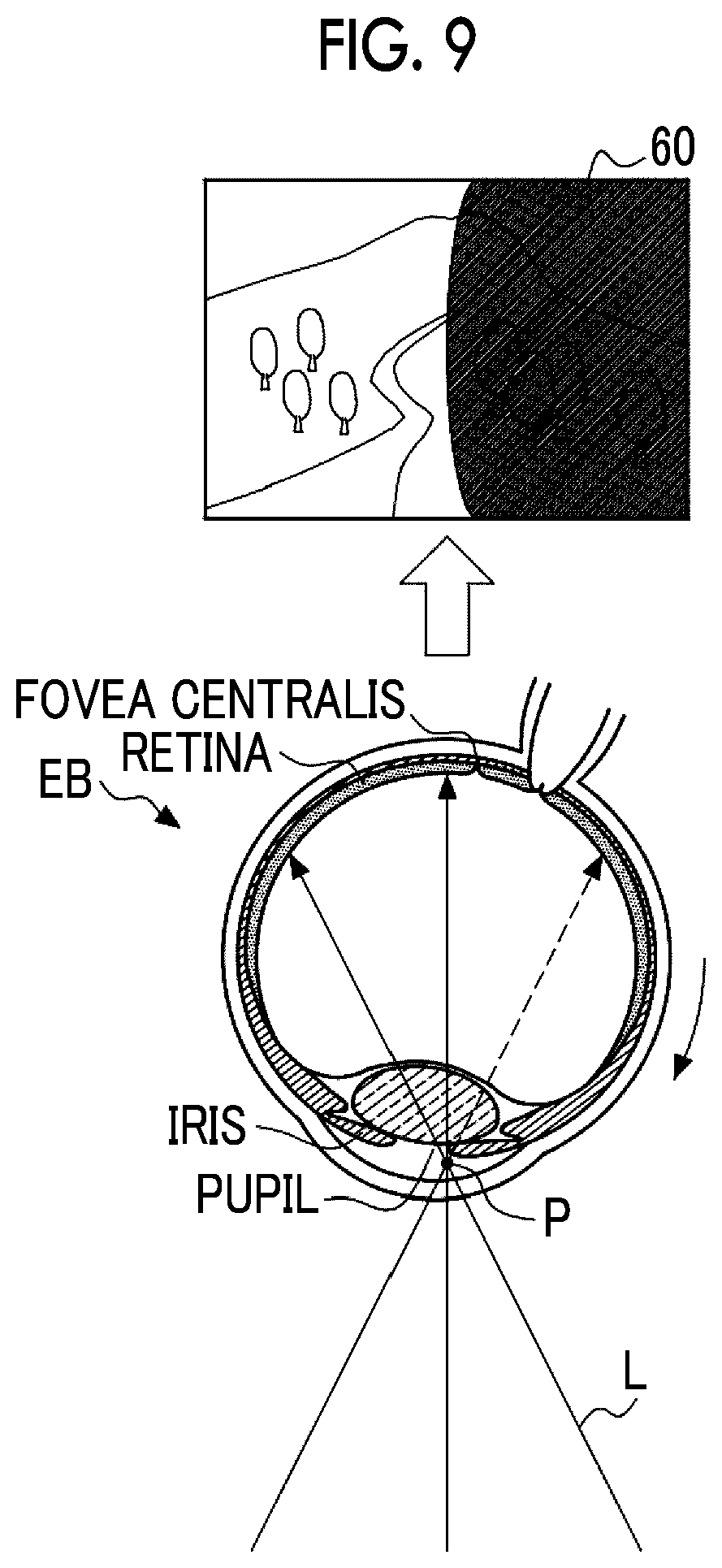 Patent US12422668 Figure 9 – Light scanning device