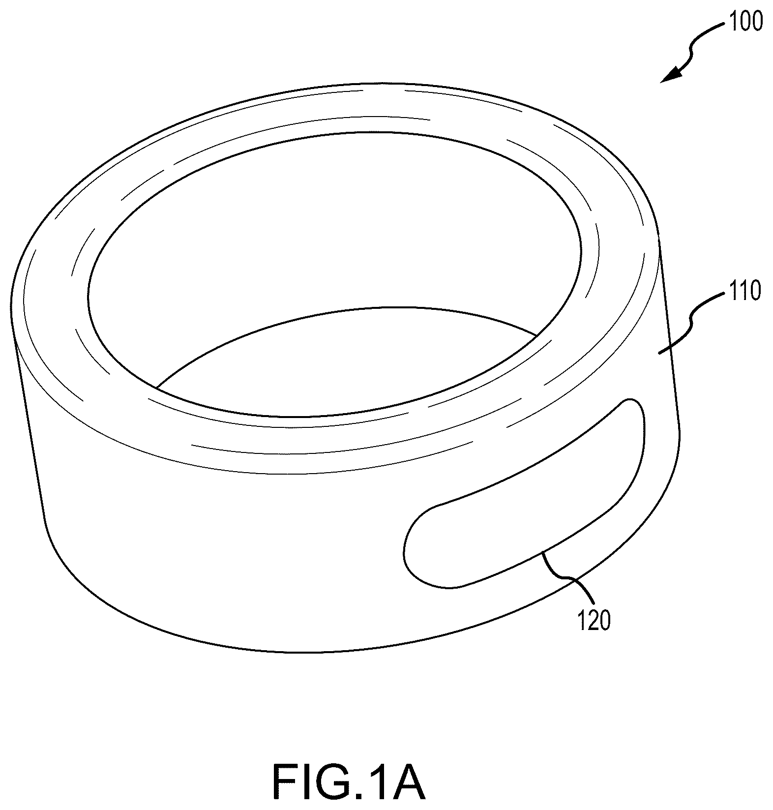 Patent US12422889 — Wearable computing device — Figure 1