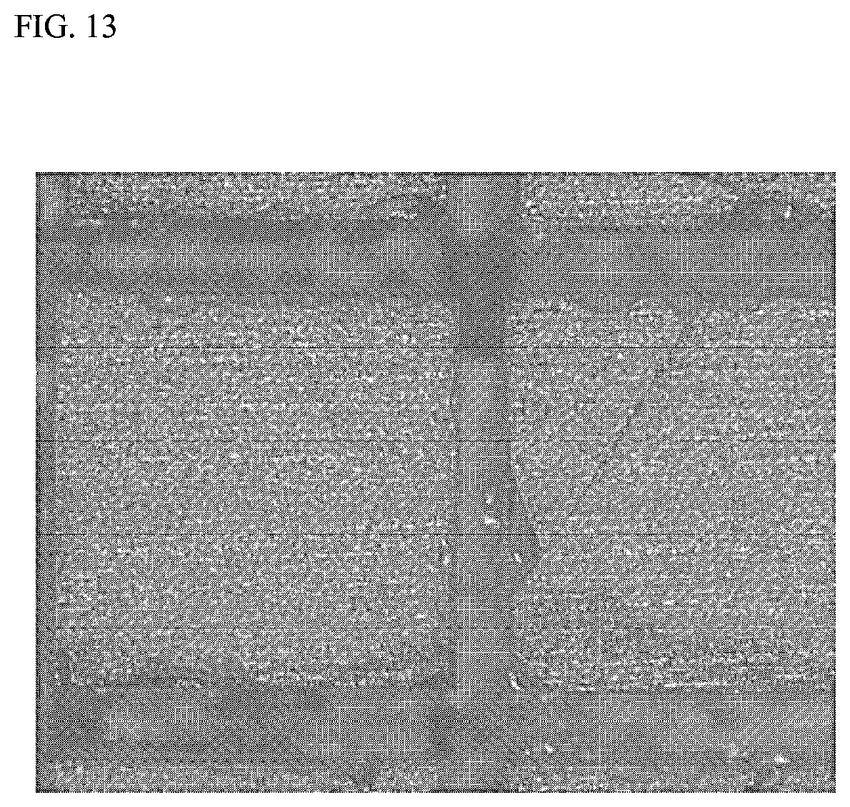 Patent US12426407 Figure 13 – Method of manufacturing a fluorescent substance