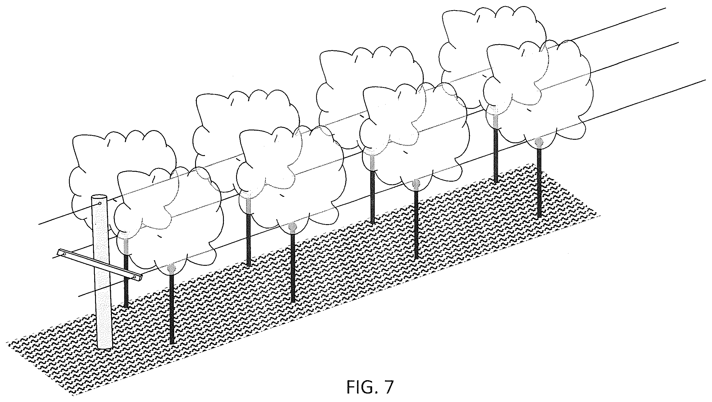 Patent US12426551 Figure 7 – In-ground clustering for plants