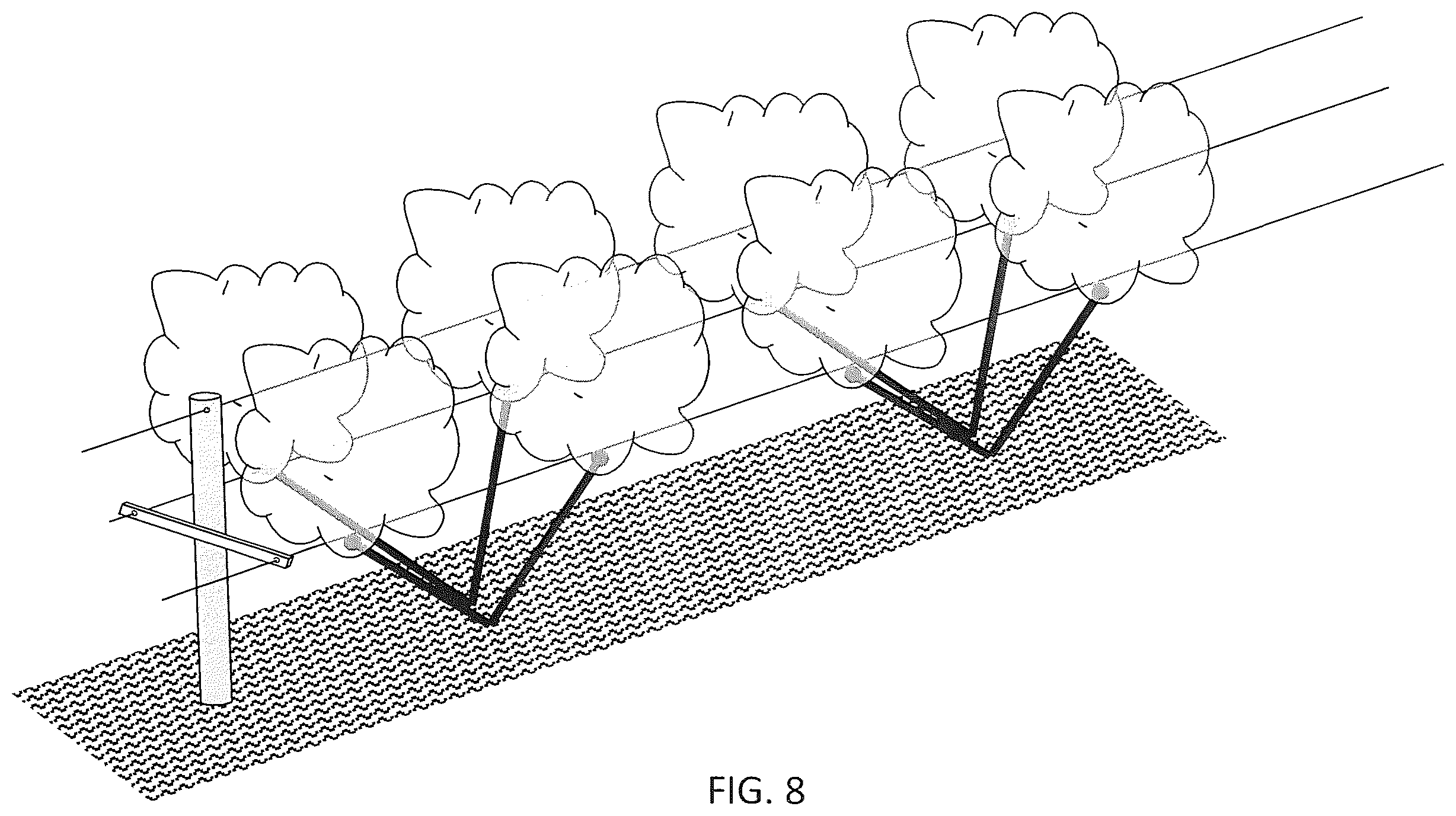 Patent US12426551 Figure 8 – In-ground clustering for plants