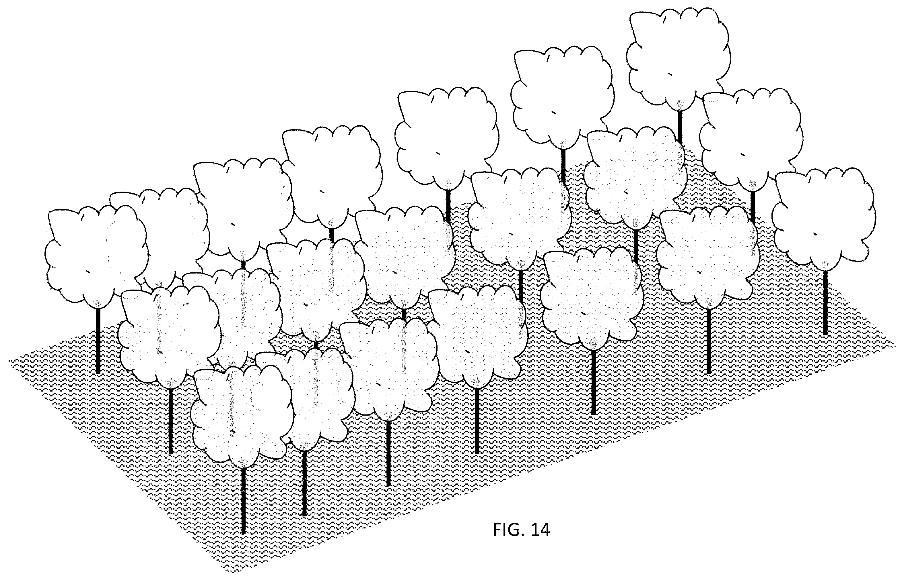 Patent US12426551 Figure 14 – In-ground clustering for plants