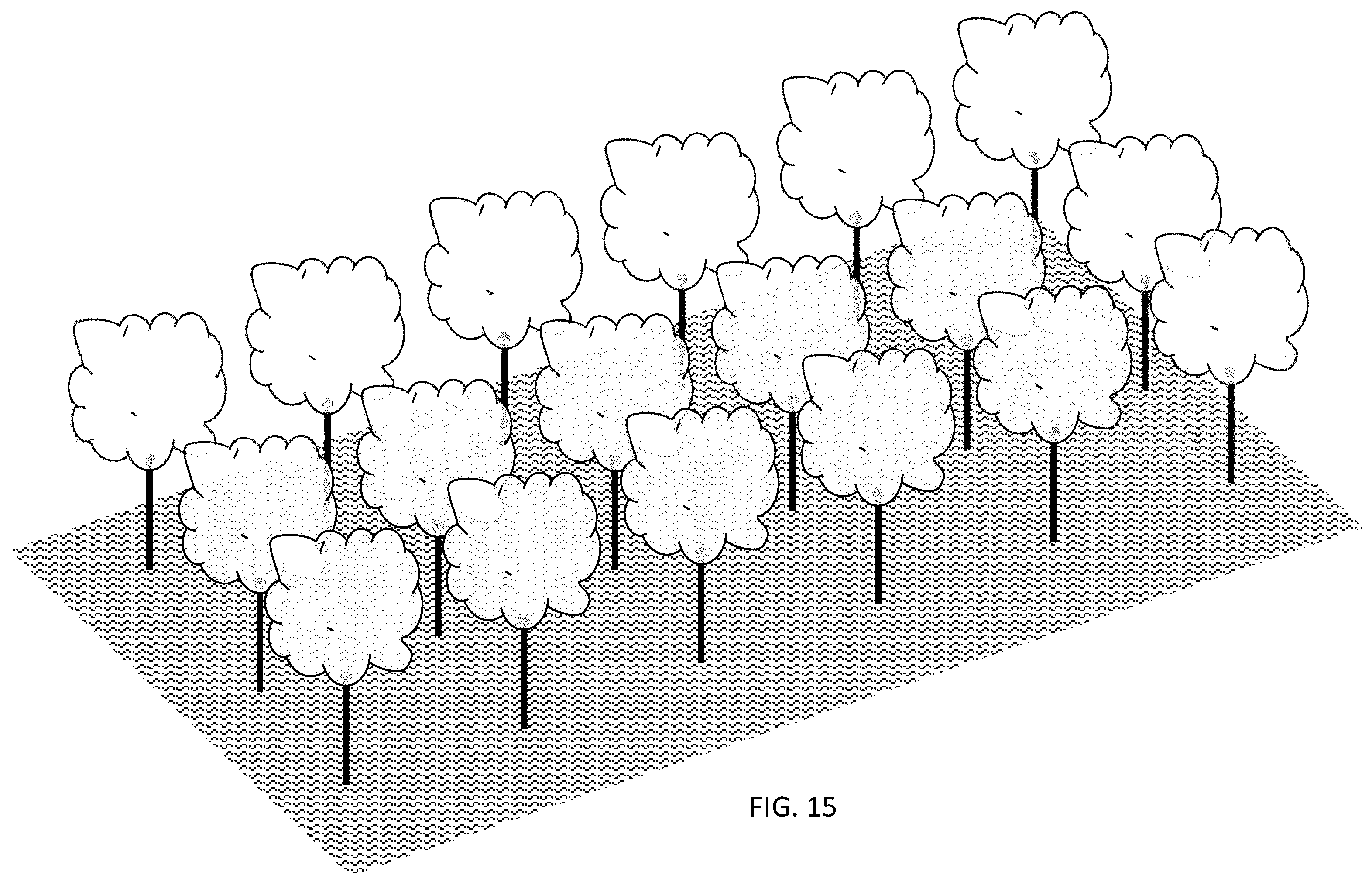 Patent US12426551 Figure 15 – In-ground clustering for plants