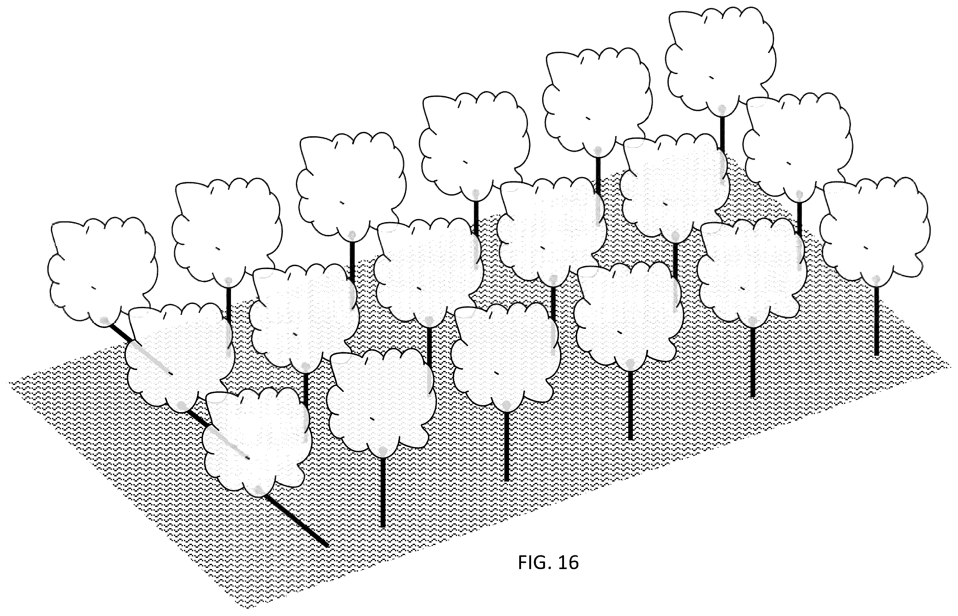 Patent US12426551 Figure 16 – In-ground clustering for plants