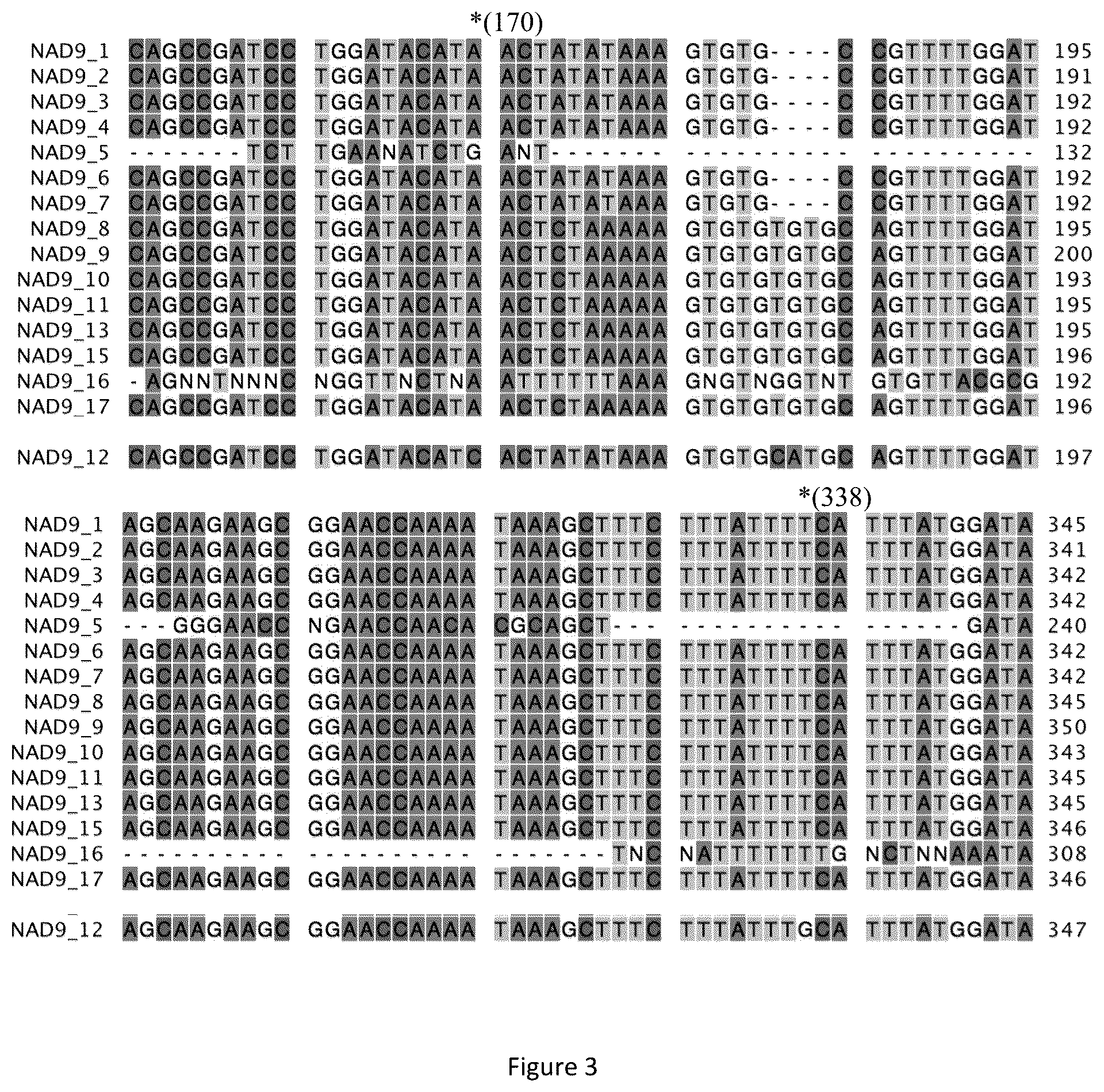 Patent US12426559 Figure 3 – Triticale cultivar 343CMS and novel sequences for male sterility