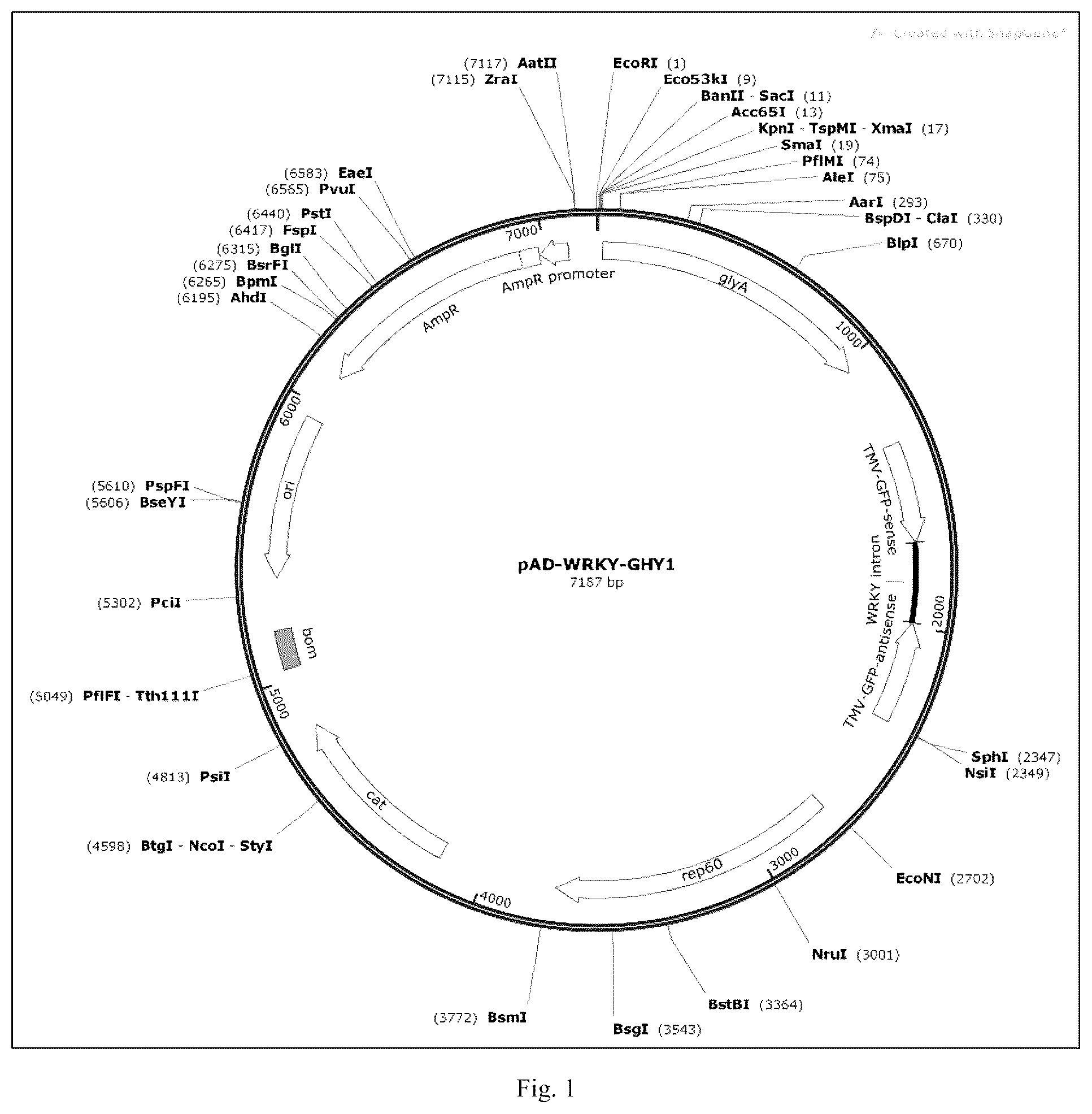 Patent US12426568 Figure 1 – System and methods for the biocontrol of plant pathogens