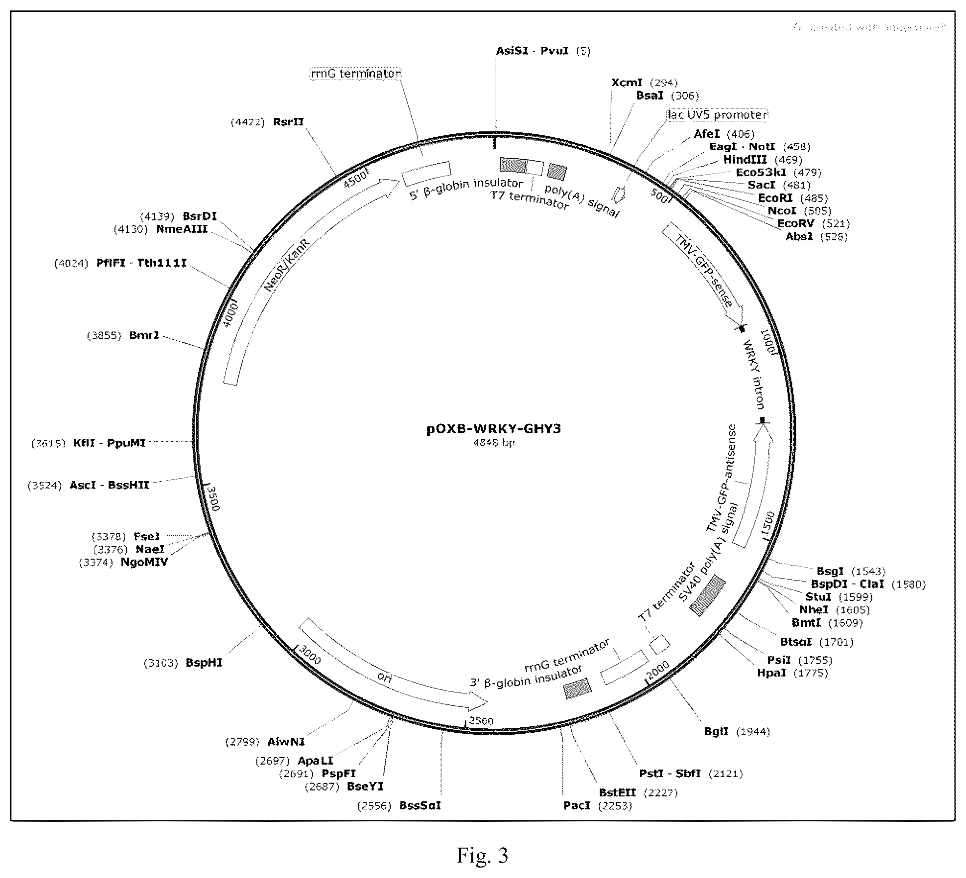Patent US12426568 Figure 3 – System and methods for the biocontrol of plant pathogens
