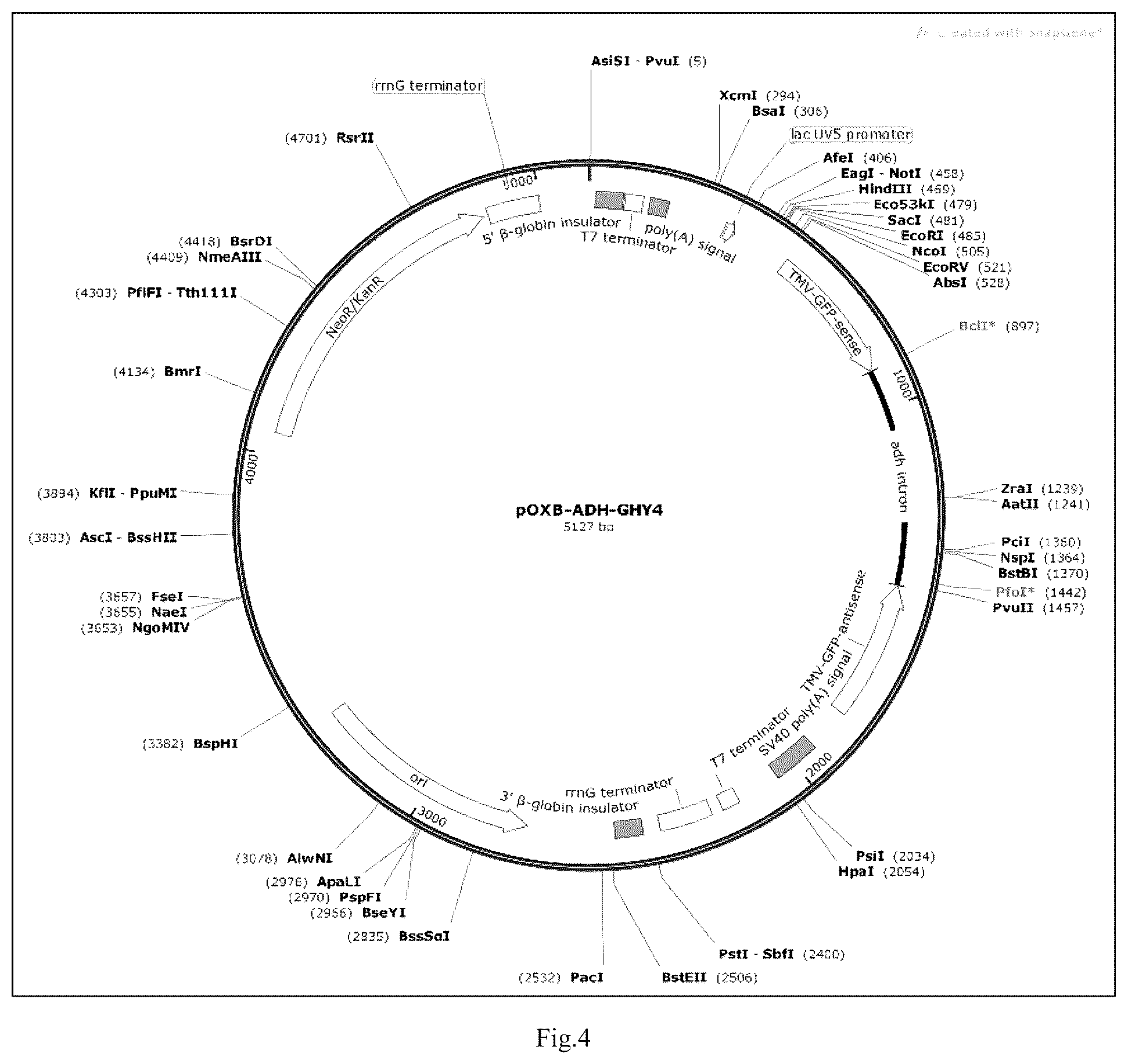 Patent US12426568 Figure 4 – System and methods for the biocontrol of plant pathogens
