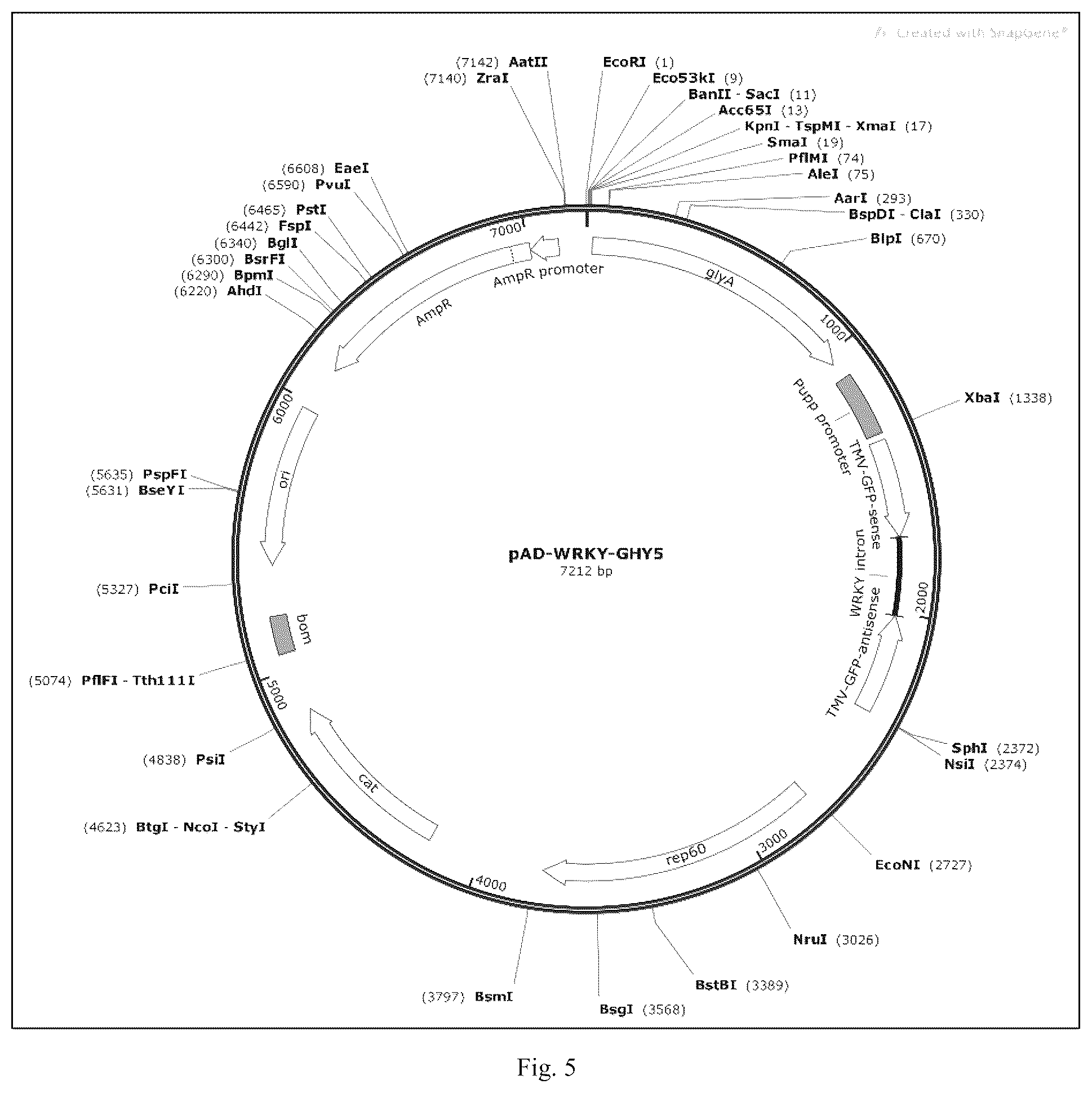 Patent US12426568 Figure 5 – System and methods for the biocontrol of plant pathogens