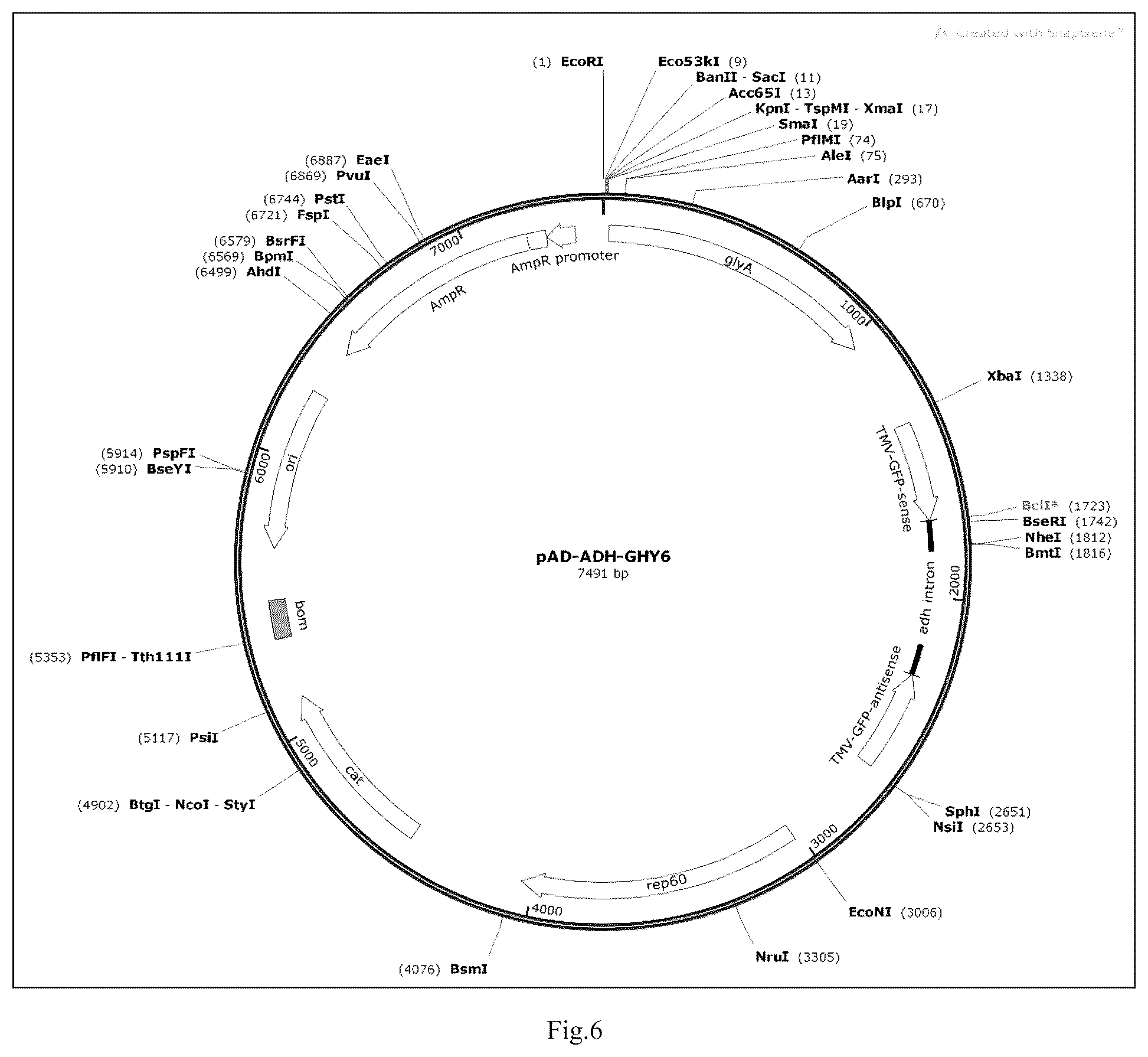 Patent US12426568 Figure 6 – System and methods for the biocontrol of plant pathogens