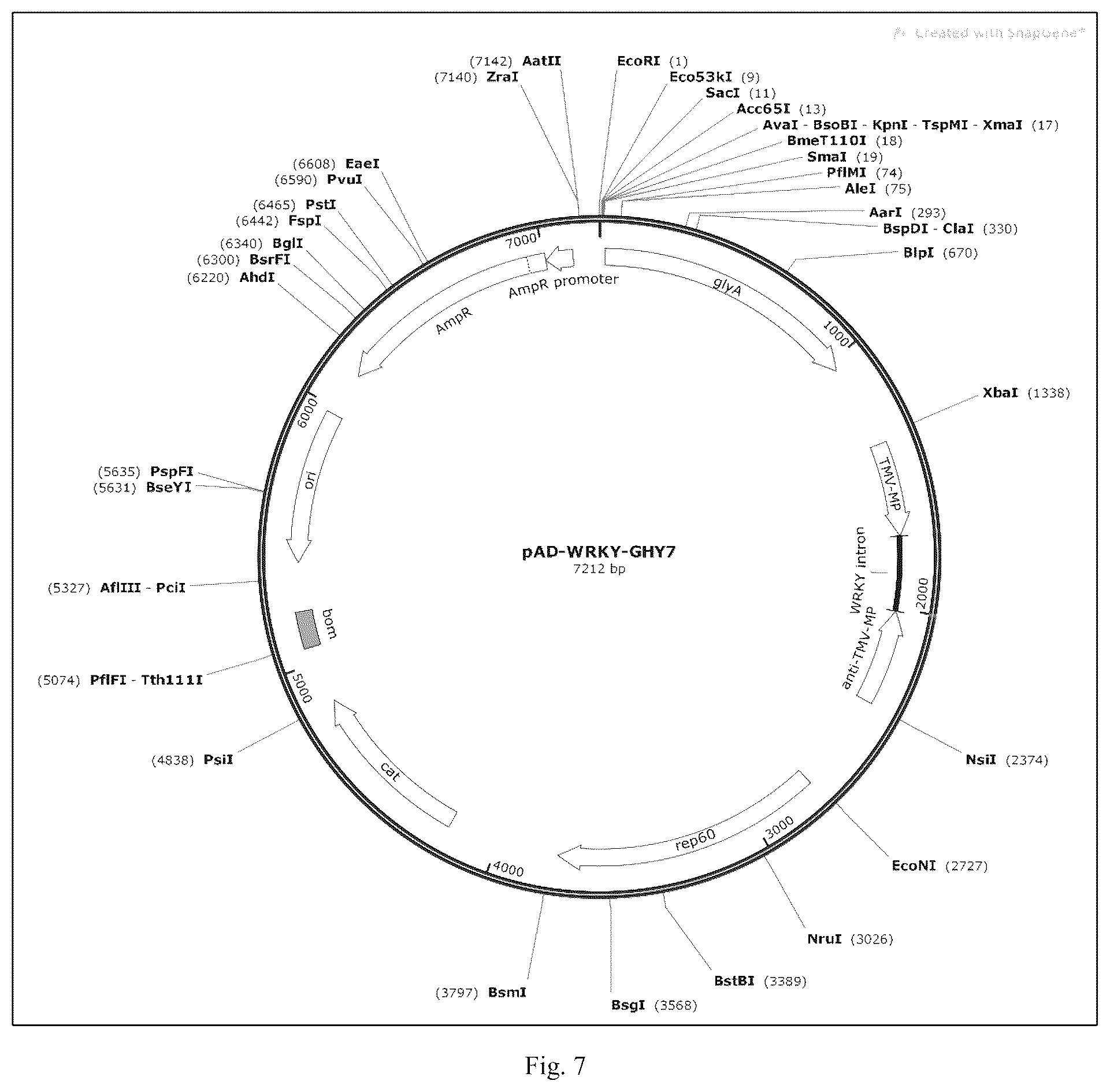 Patent US12426568 Figure 7 – System and methods for the biocontrol of plant pathogens