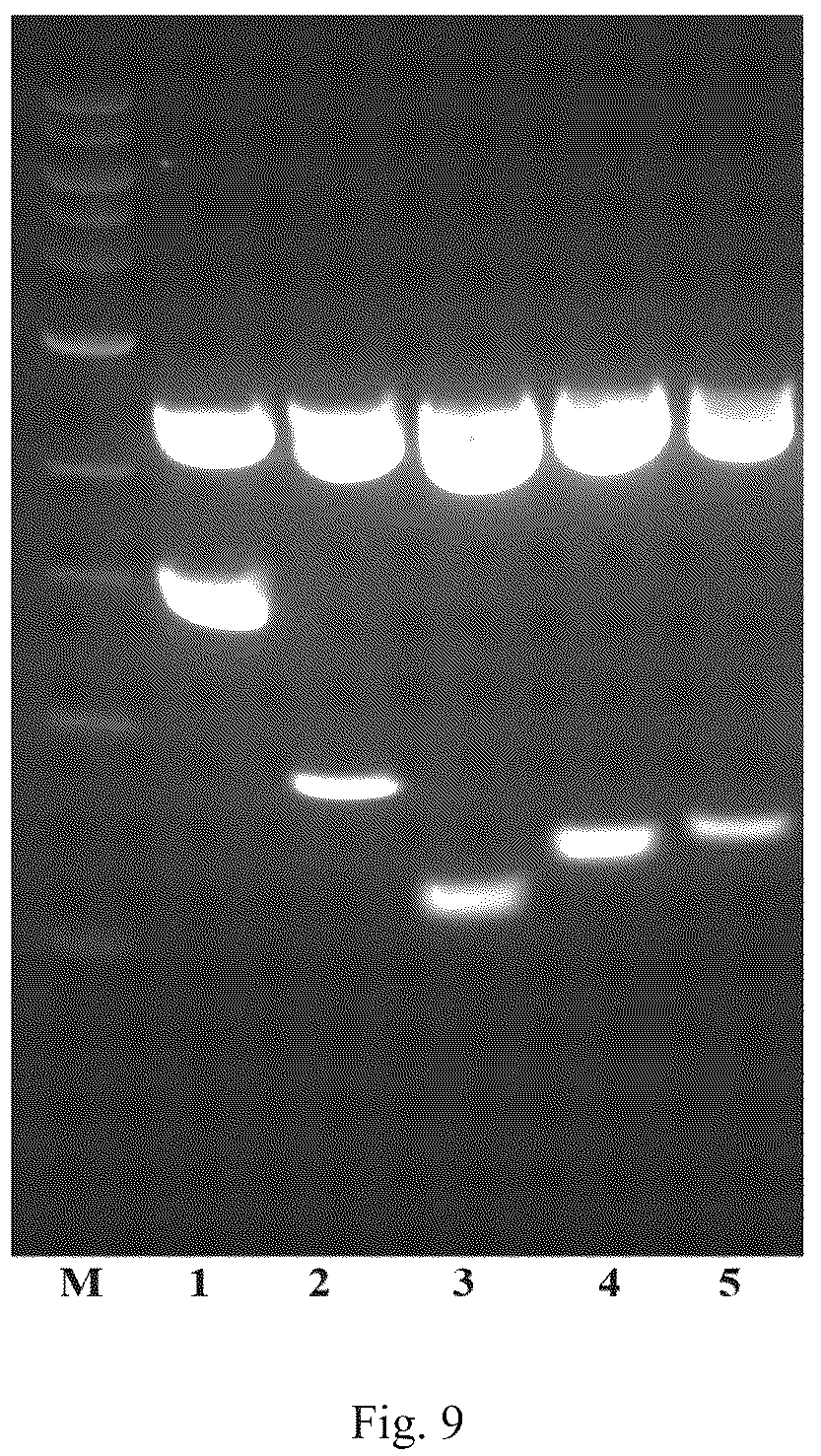 Patent US12426568 Figure 9 – System and methods for the biocontrol of plant pathogens