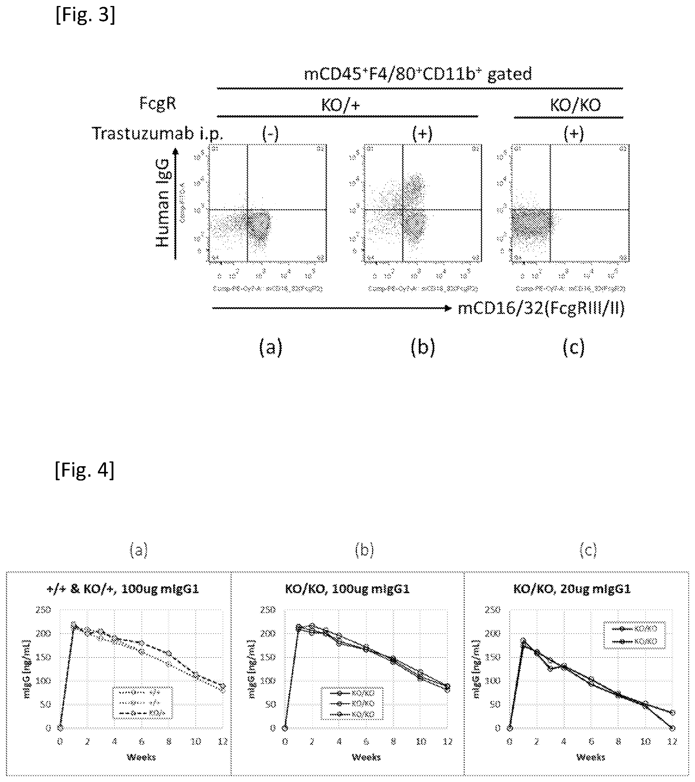 Patent US12426579 Figure 2 – Immunodeficient mouse