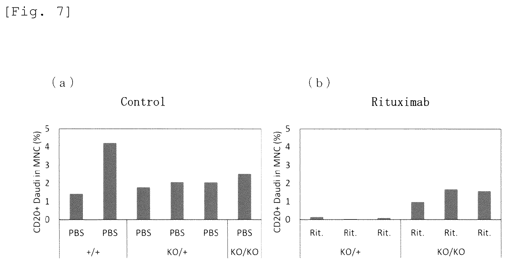 Patent US12426579 Figure 4 – Immunodeficient mouse