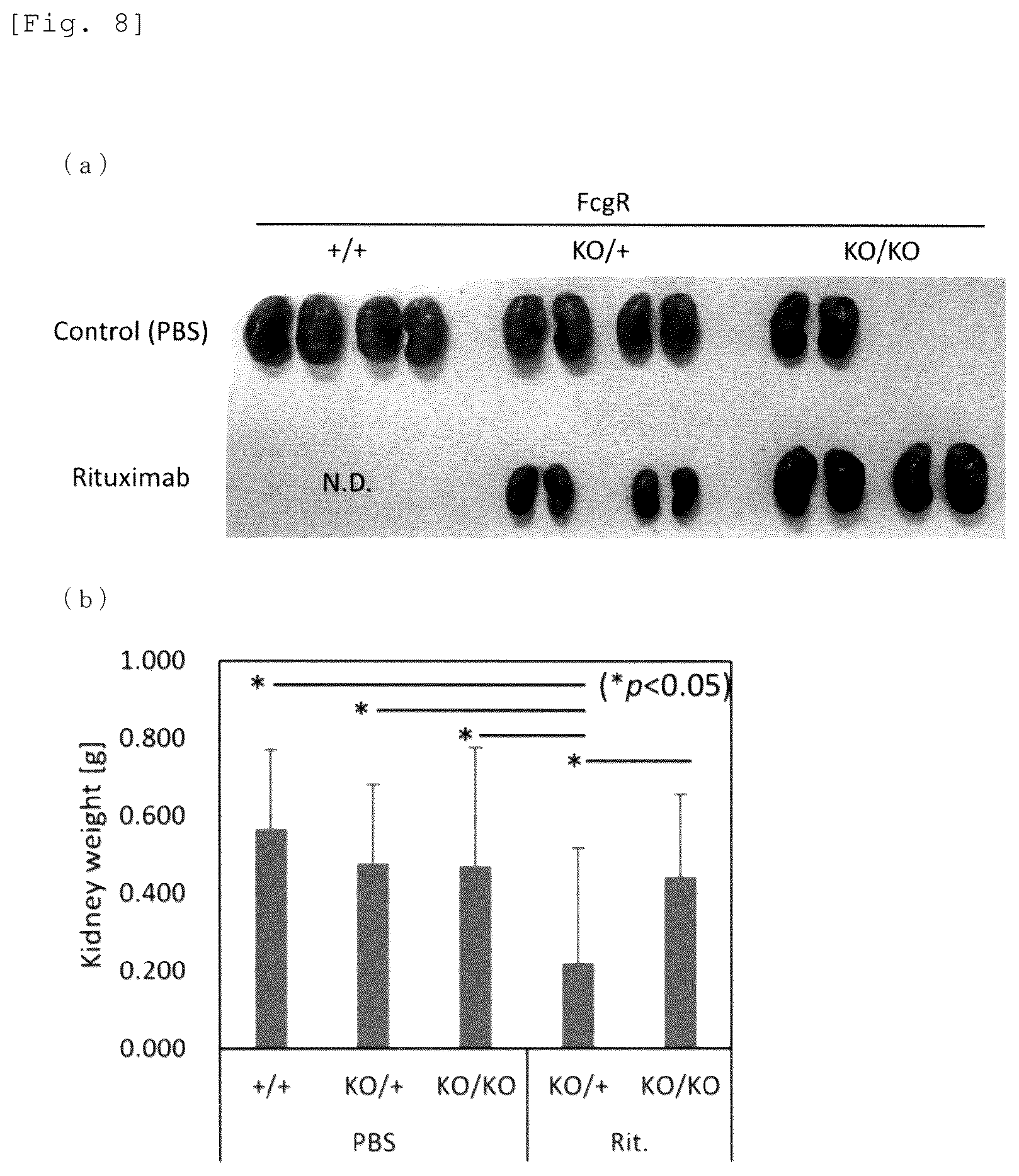 Patent US12426579 Figure 5 – Immunodeficient mouse