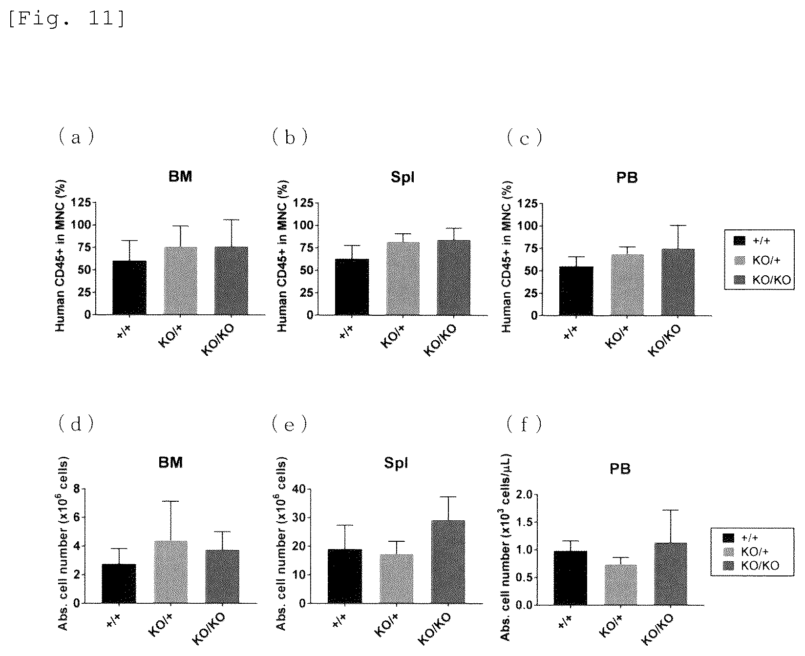 Patent US12426579 Figure 7 – Immunodeficient mouse