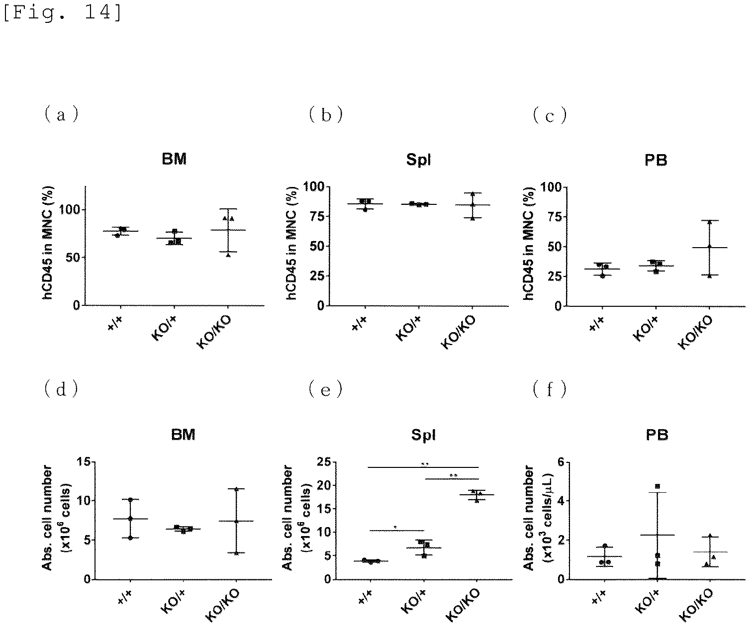 Patent US12426579 Figure 10 – Immunodeficient mouse