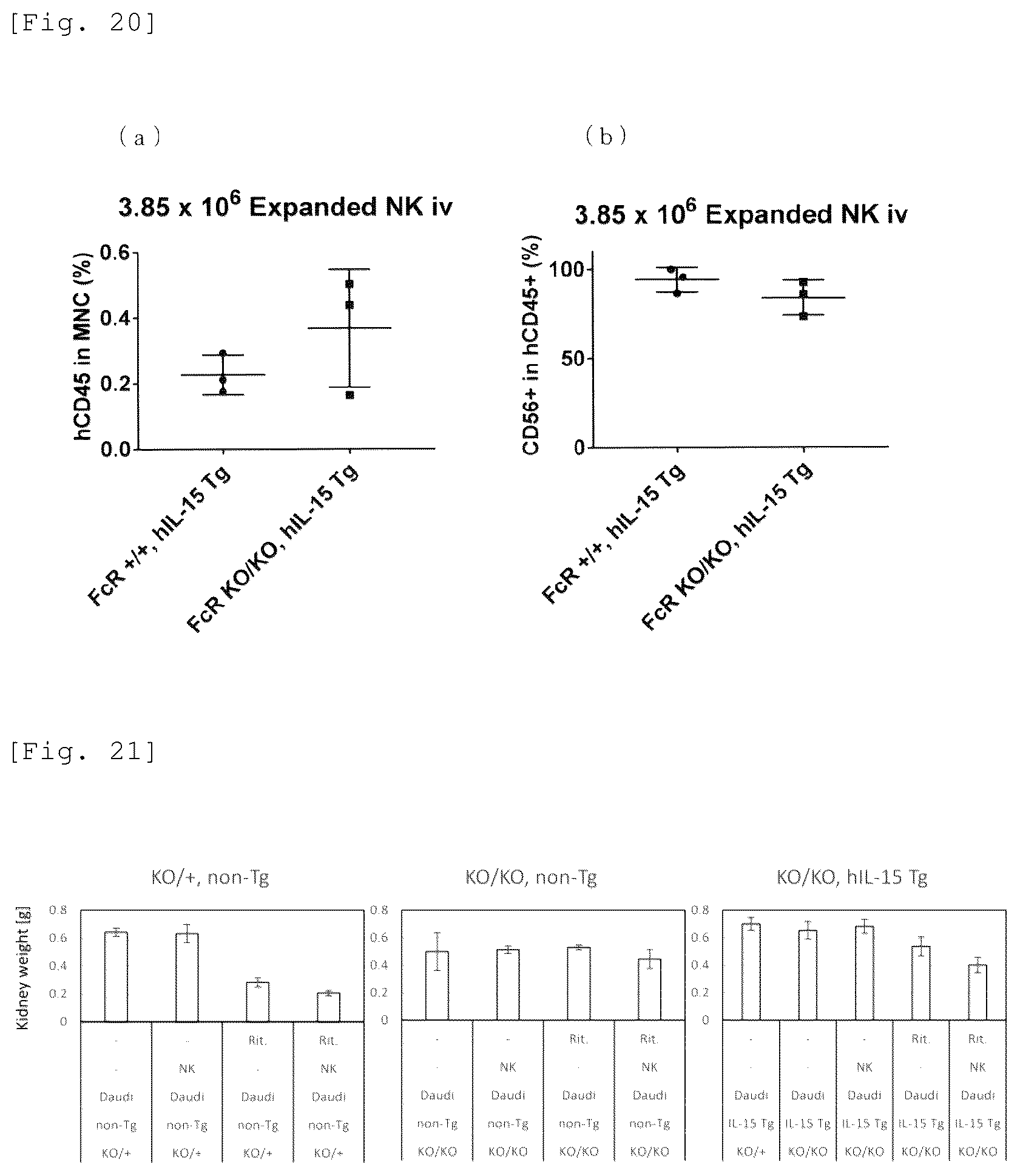 Patent US12426579 Figure 15 – Immunodeficient mouse