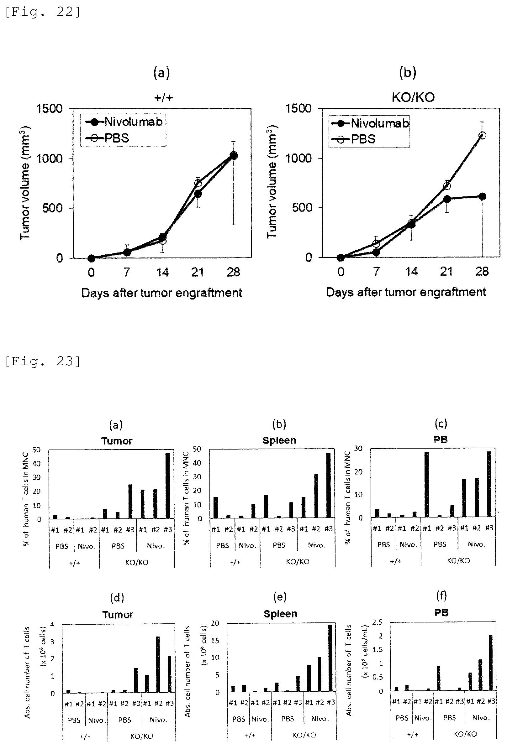 Patent US12426579 Figure 16 – Immunodeficient mouse