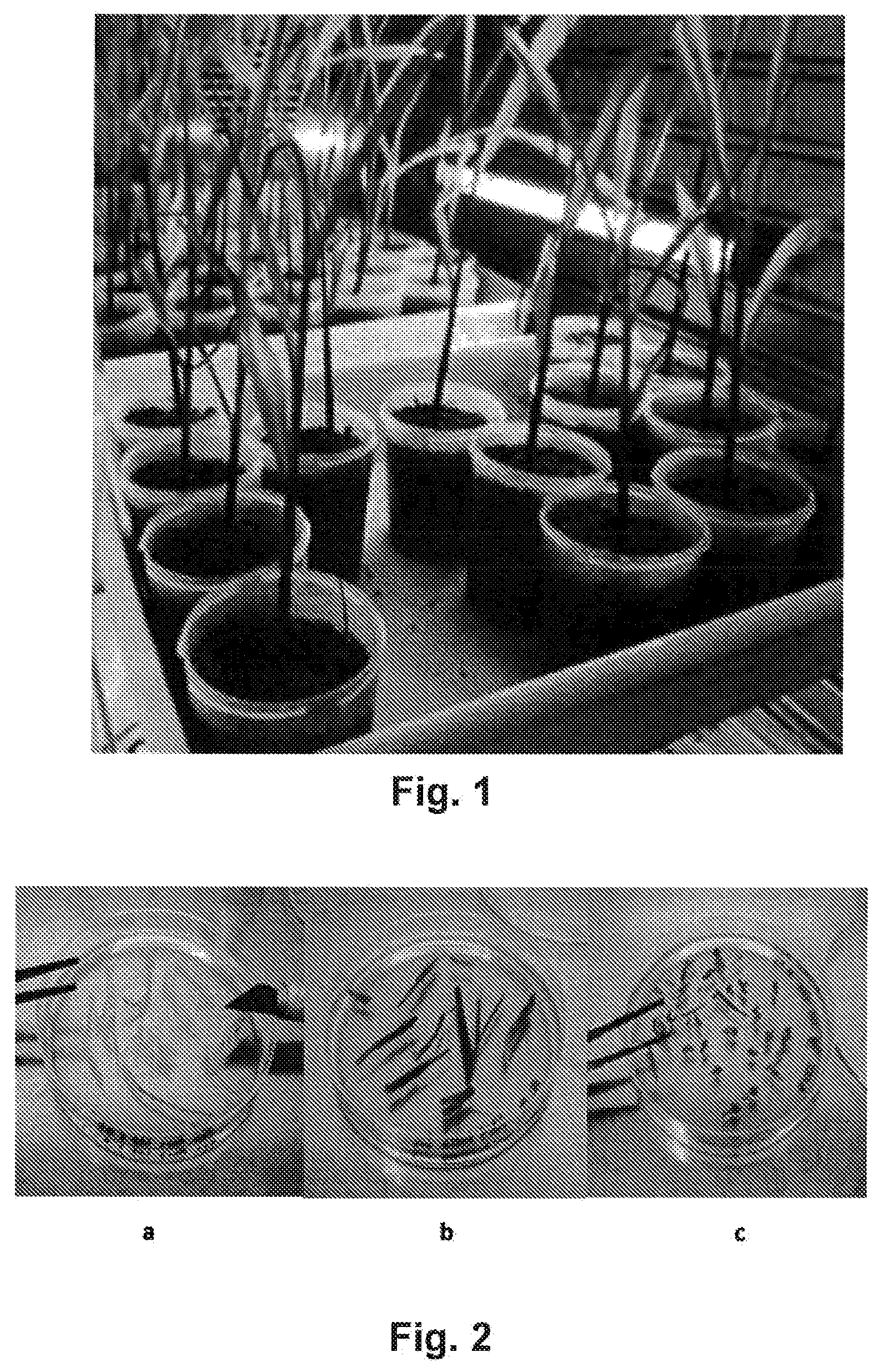 Patent US12426600 Figure 1 – Methylobacterium sp. nov. strain, compositions comprising it, and its use as bio-stimulant and endophyte nitrogen-fixing bacterium
