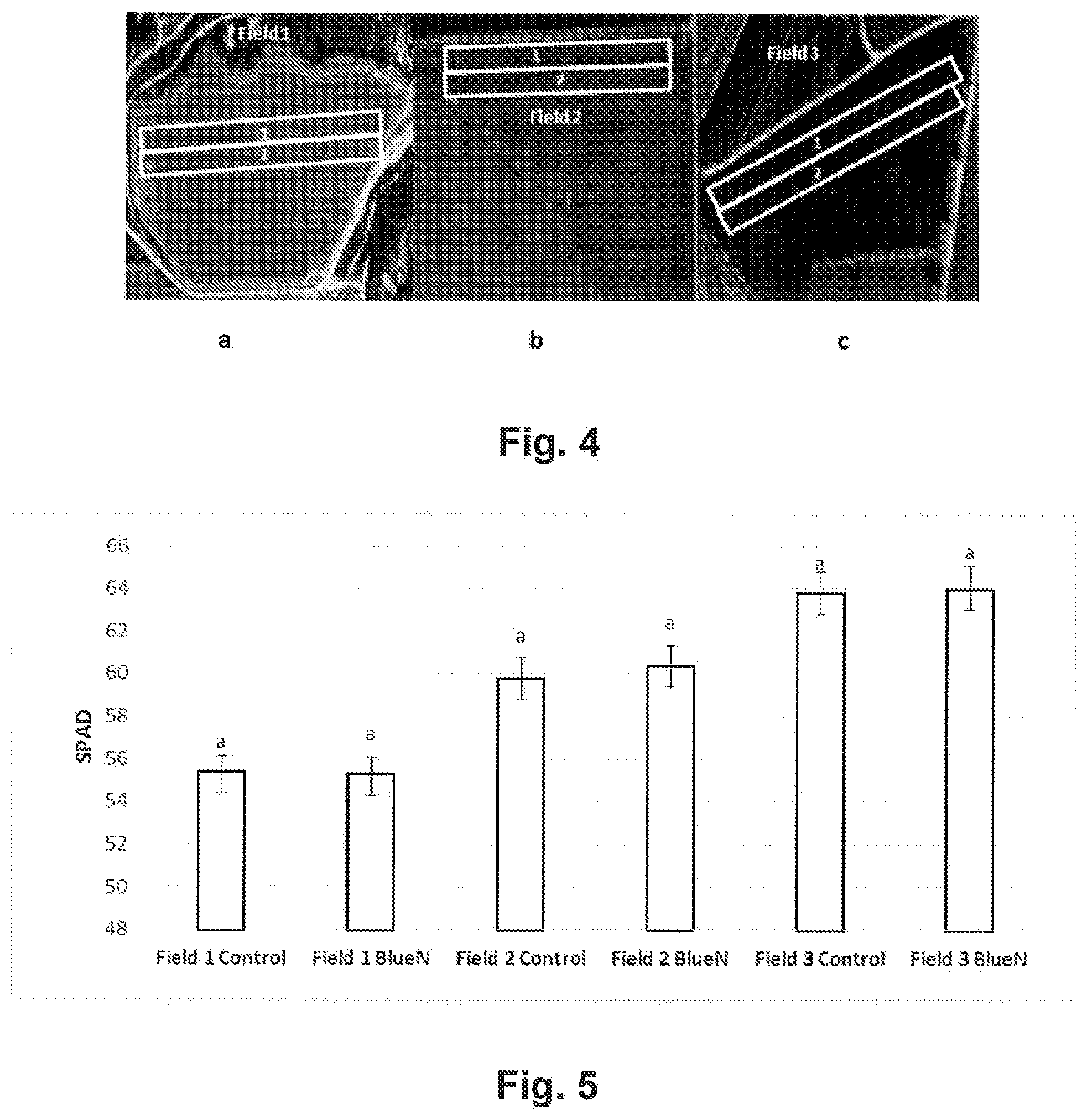 Patent US12426600 Figure 3 – Methylobacterium sp. nov. strain, compositions comprising it, and its use as bio-stimulant and endophyte nitrogen-fixing bacterium